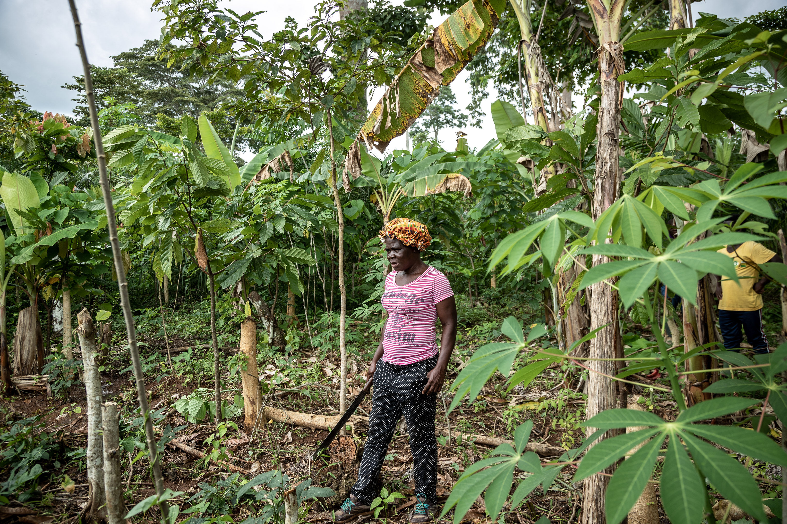 Emelia Debrah, on her agroforestry plot where she is growing a range of crops alongside cocoa (Chris Terry/PA)