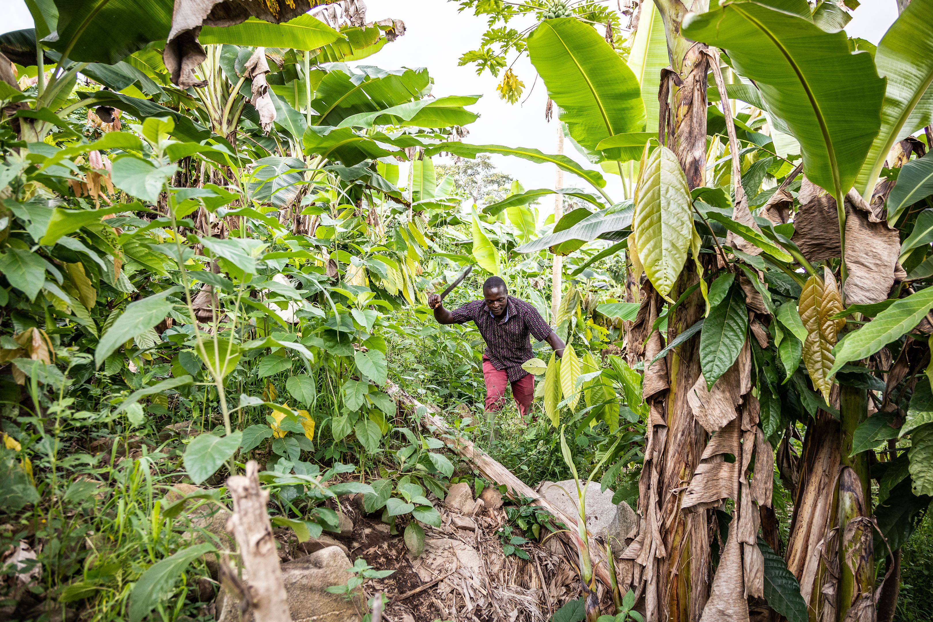 Sadick Abanga, who has transformed a rocky hillside into a productive plot (Chris Terry/PA)