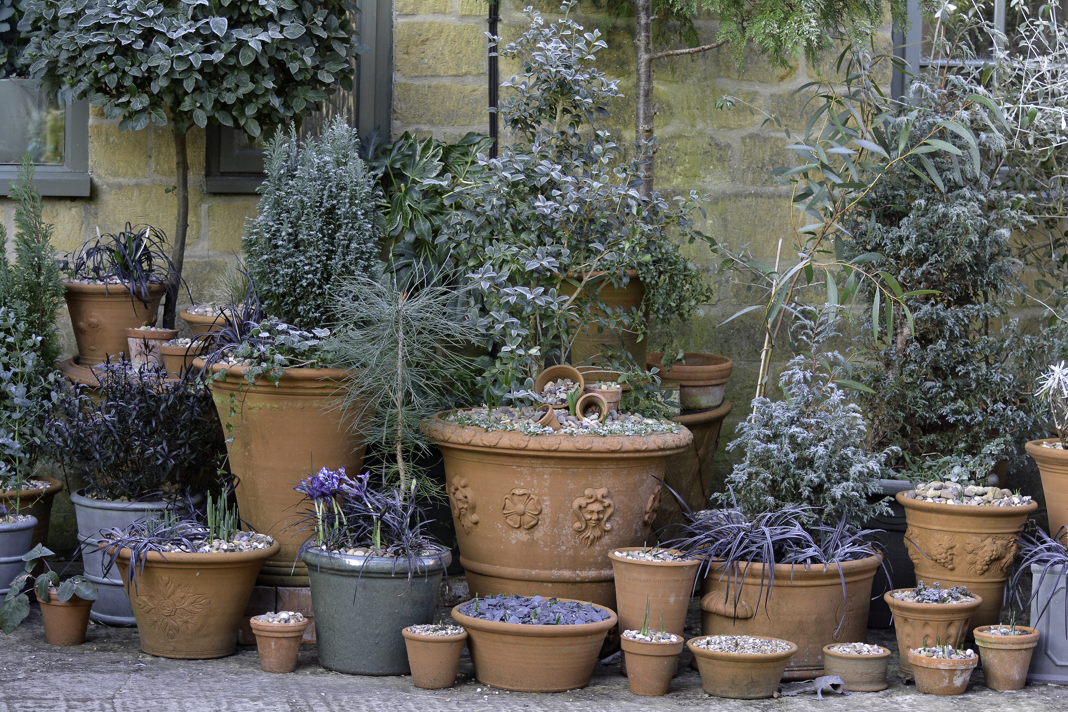 A group of terracotta garden pots (Harriet Rycroft/PA)
