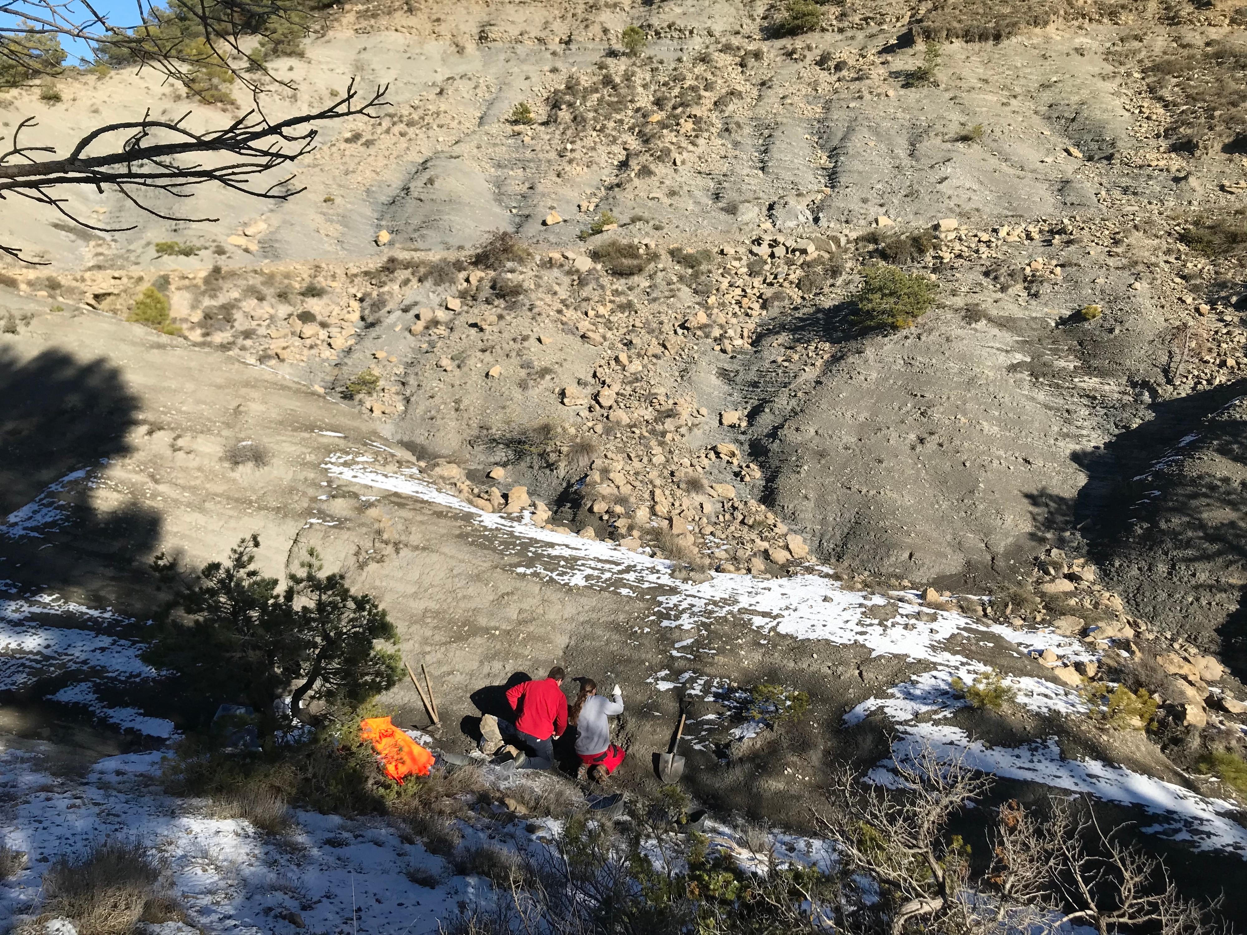 The excavation site in the Cal Torrades locality in northeastern Spain