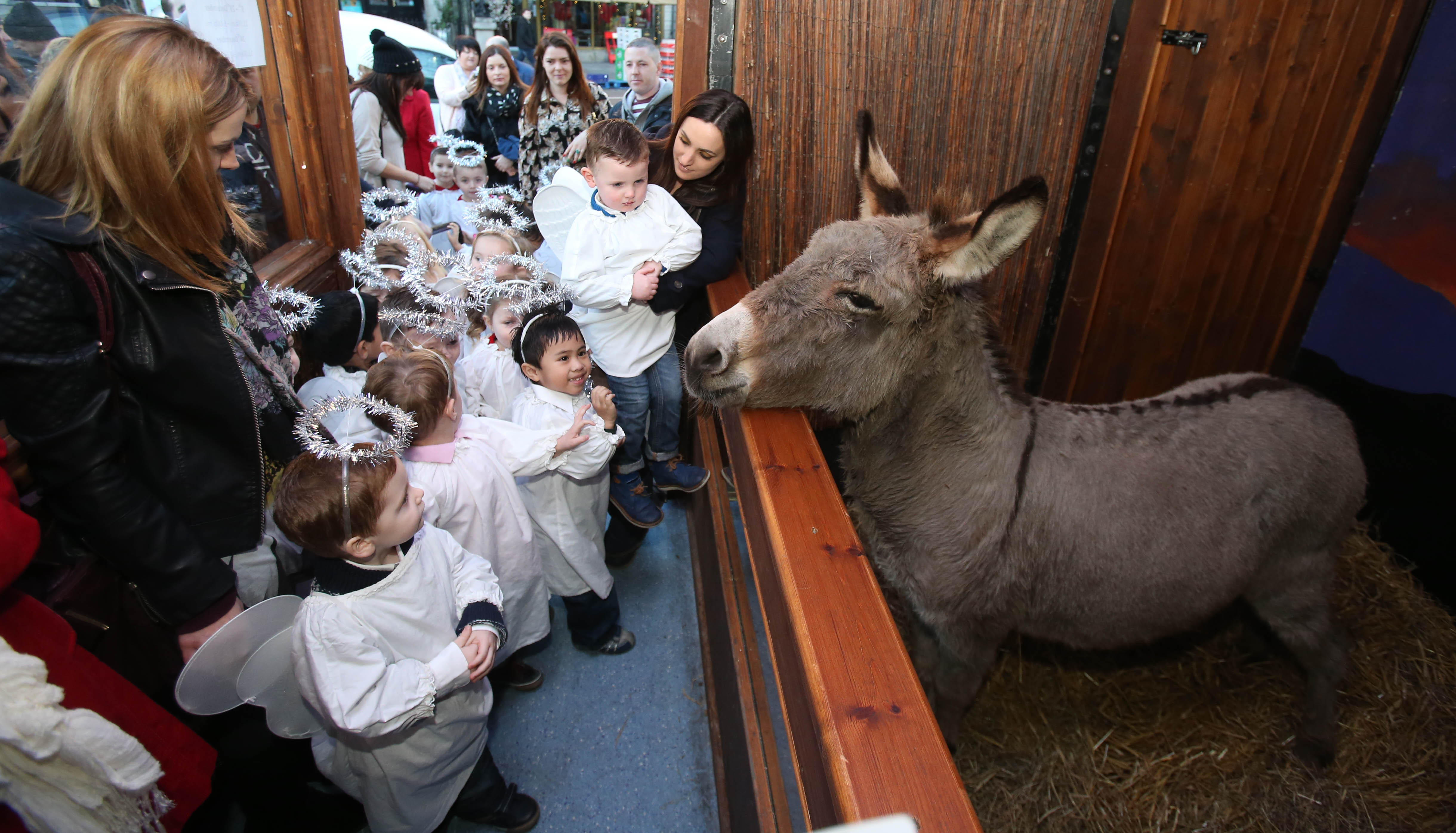 Children at animal crib