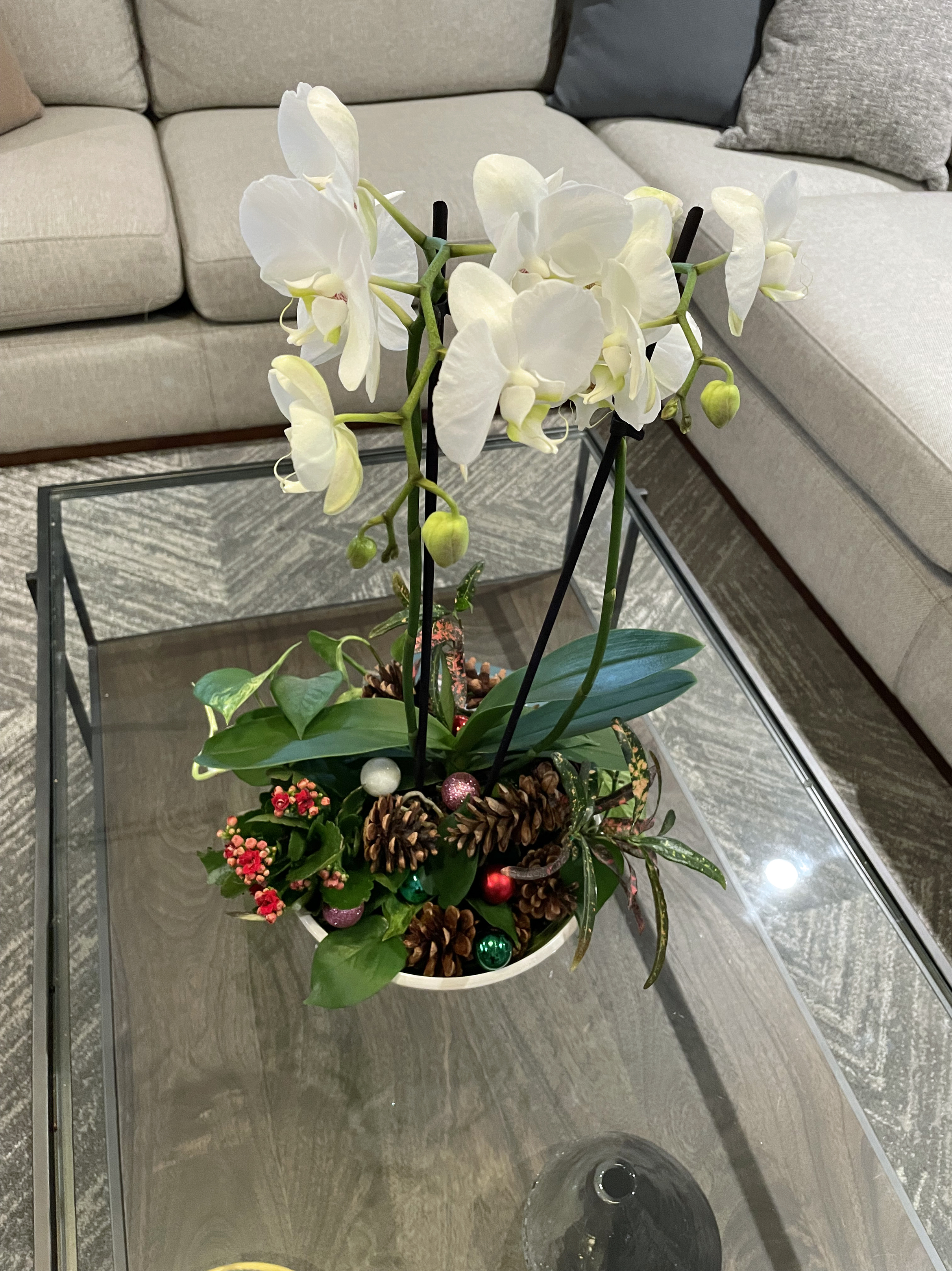 A white orchid decorated at the base with pine cones and baubles (Ellen Mary/PA)