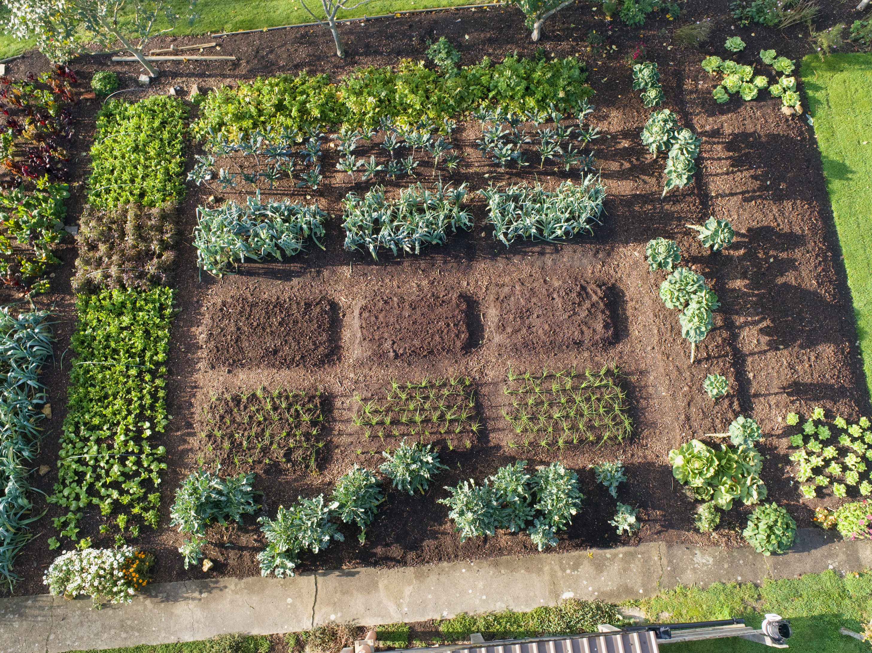 Planned vegetable garden (Charles Dowding/PA))