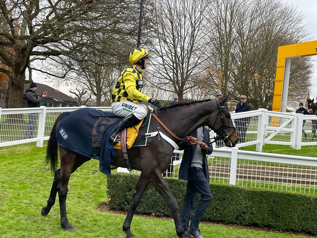 Shishkin after defeat at Sandown