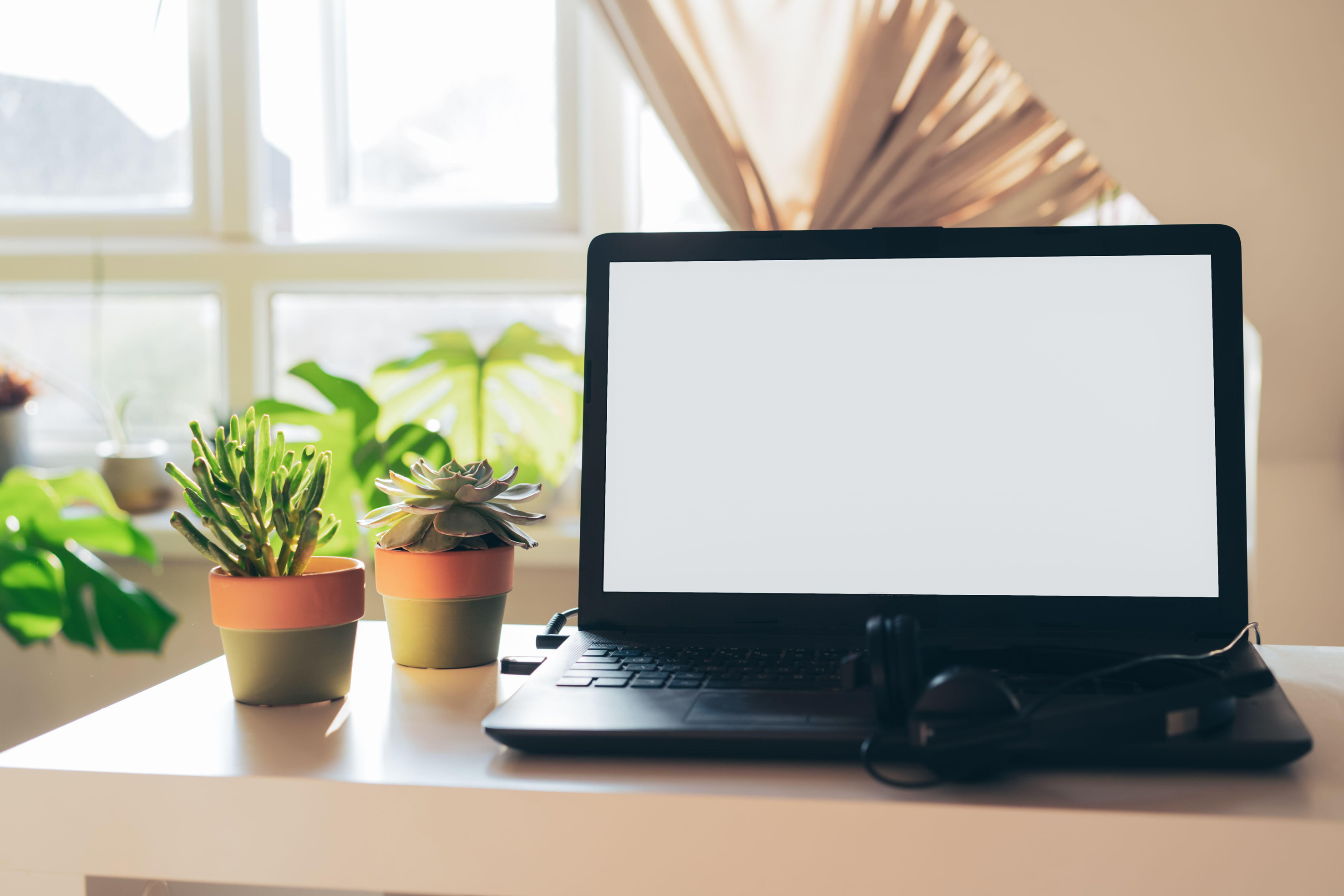 Modern WFH space with laptop