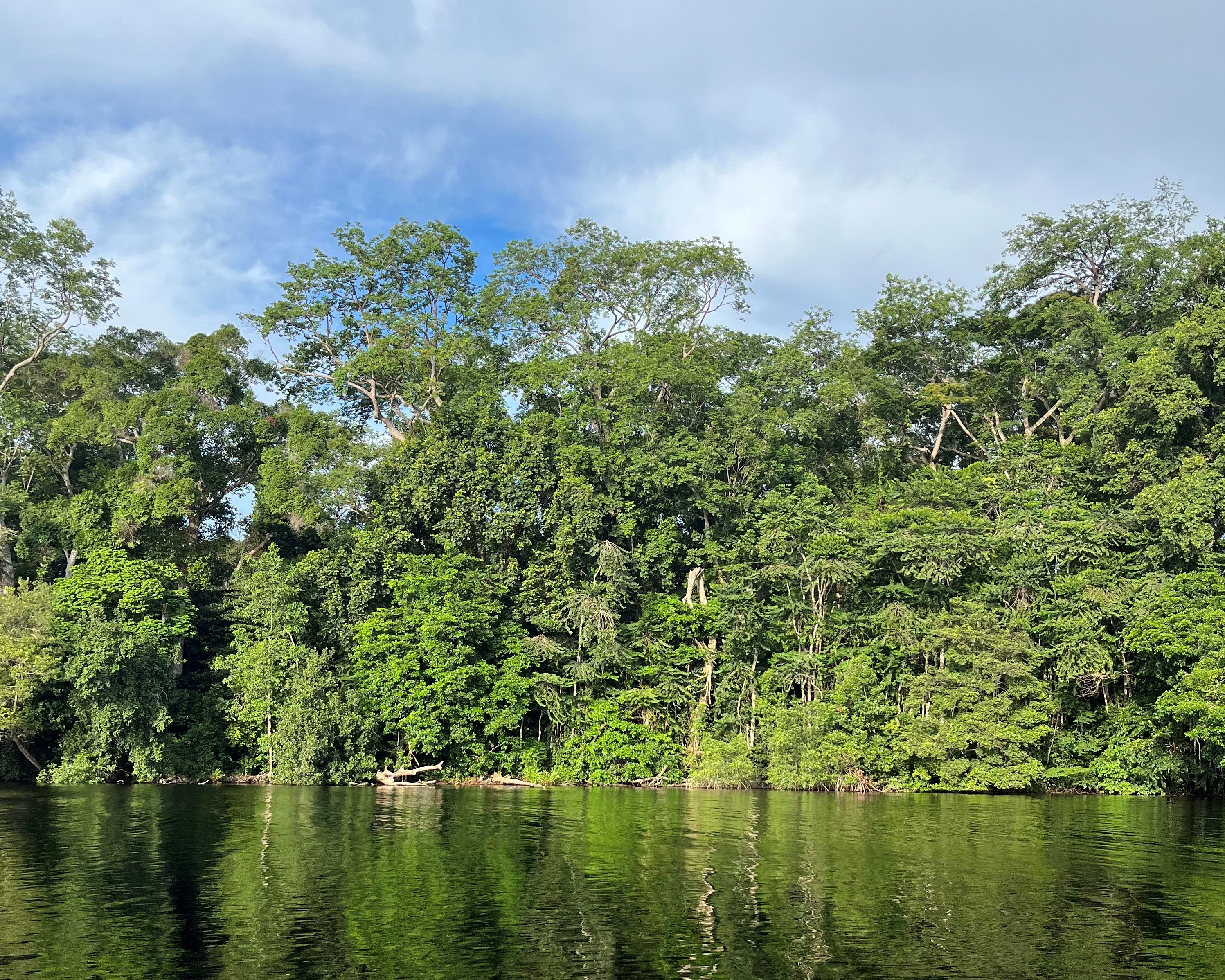 Protected forest and river in Gabon (Emily Beament/PA)