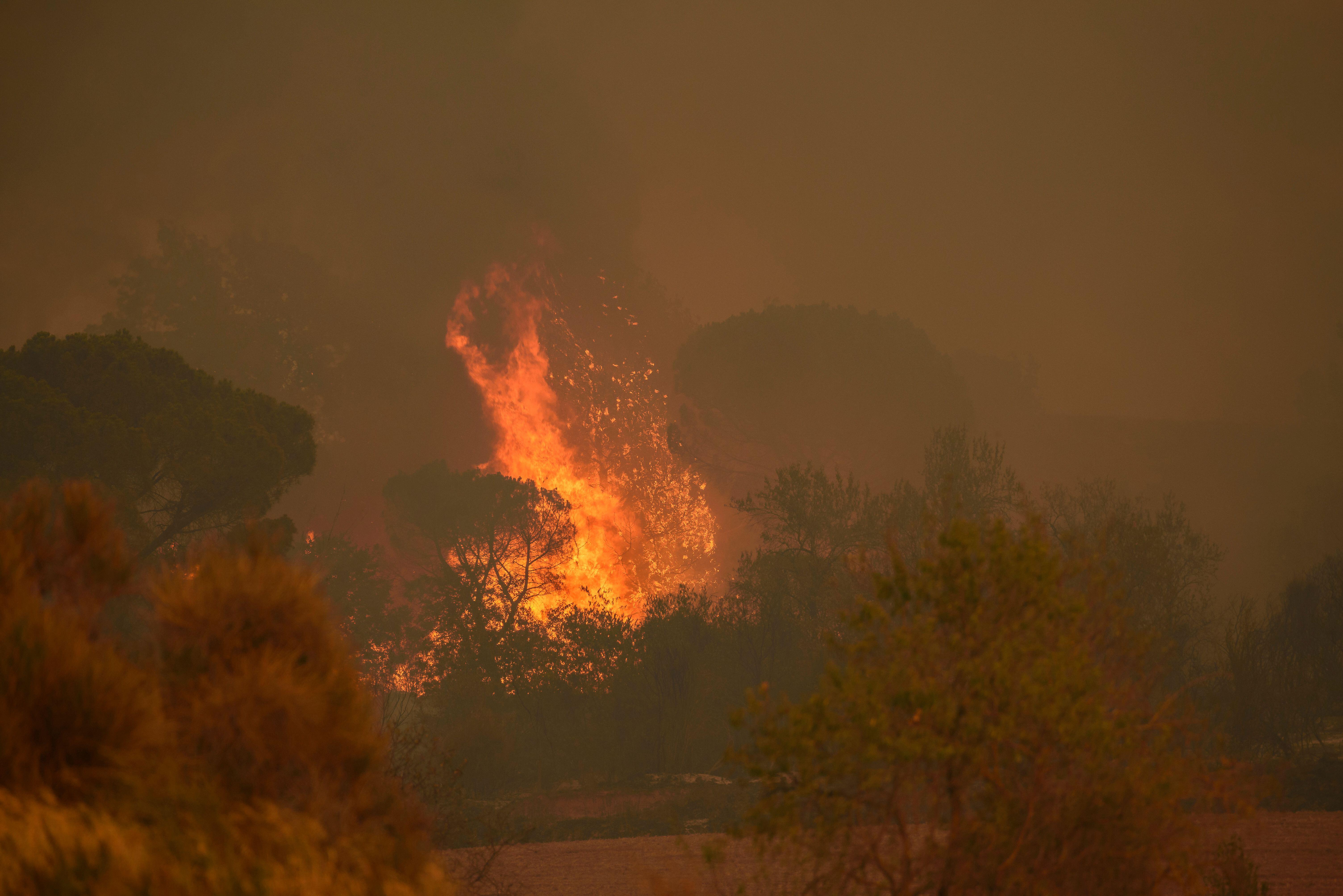 A wildfire at El Pont de Vilomara, which burned 1,743 hectares of vegetation in July