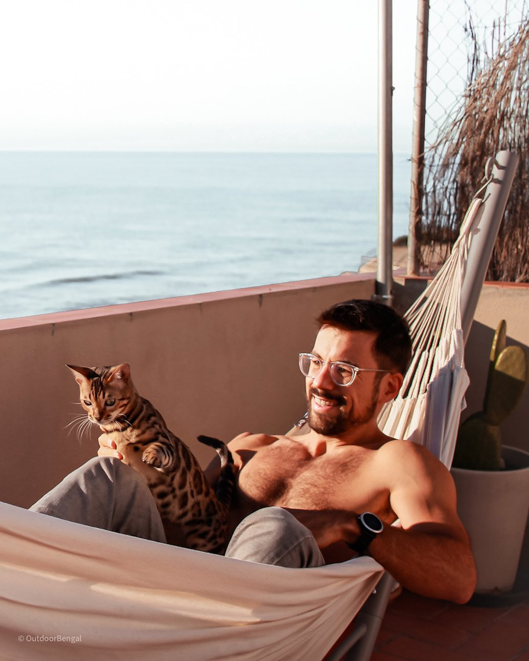 Albert Colominas wants to “(help) cat parents do more and better with their cats”.