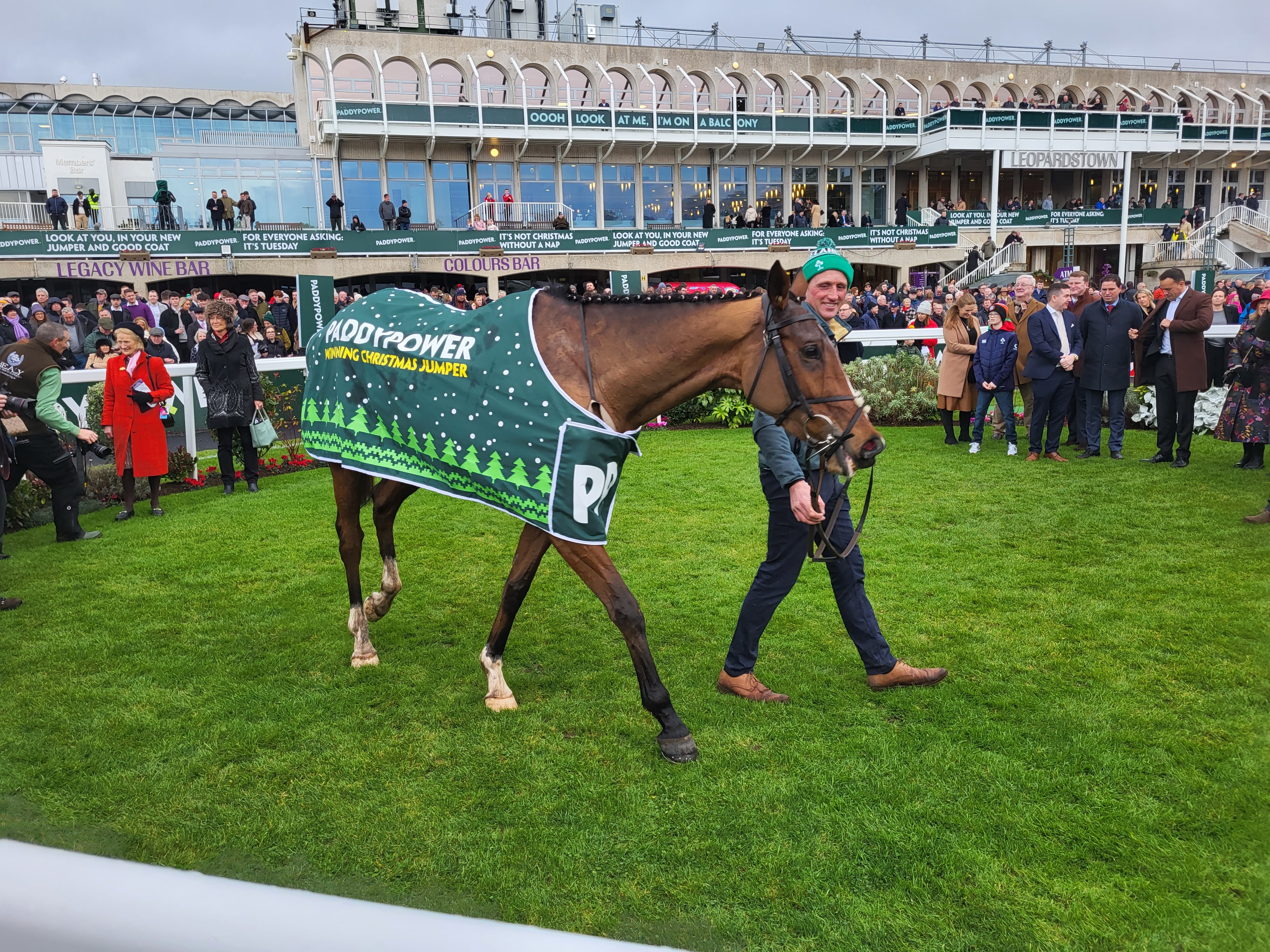 Facile Vega after his Leopardstown success 