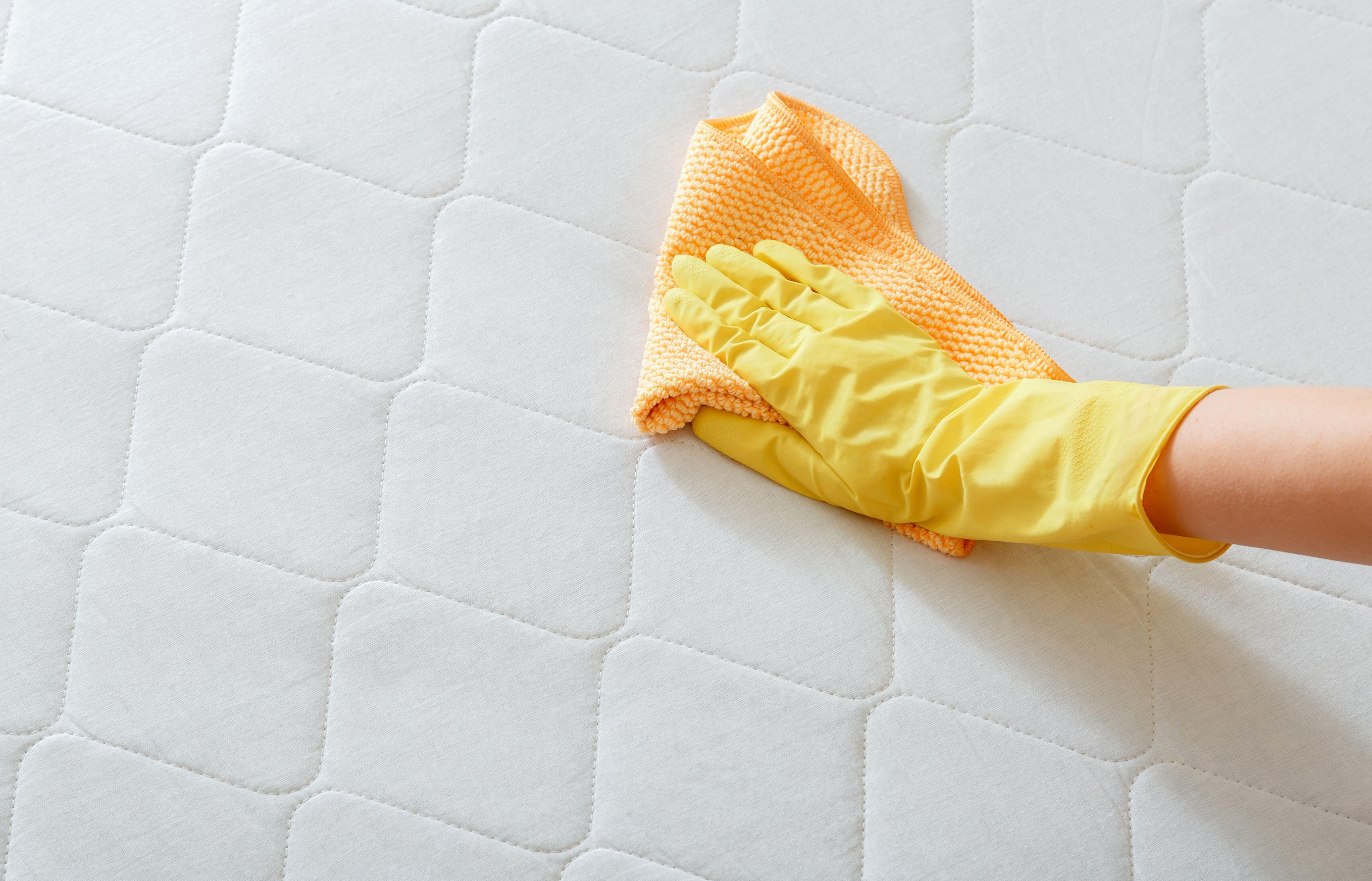 Person cleaning mattress with cloth