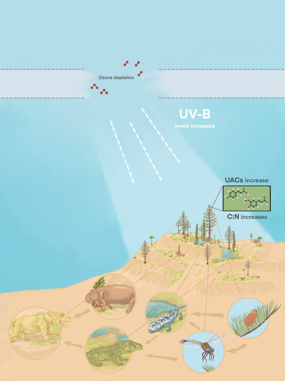 El ‘protector solar’ en el polen antiguo ‘apunta a una extinción masiva causada por la radiación UV’
