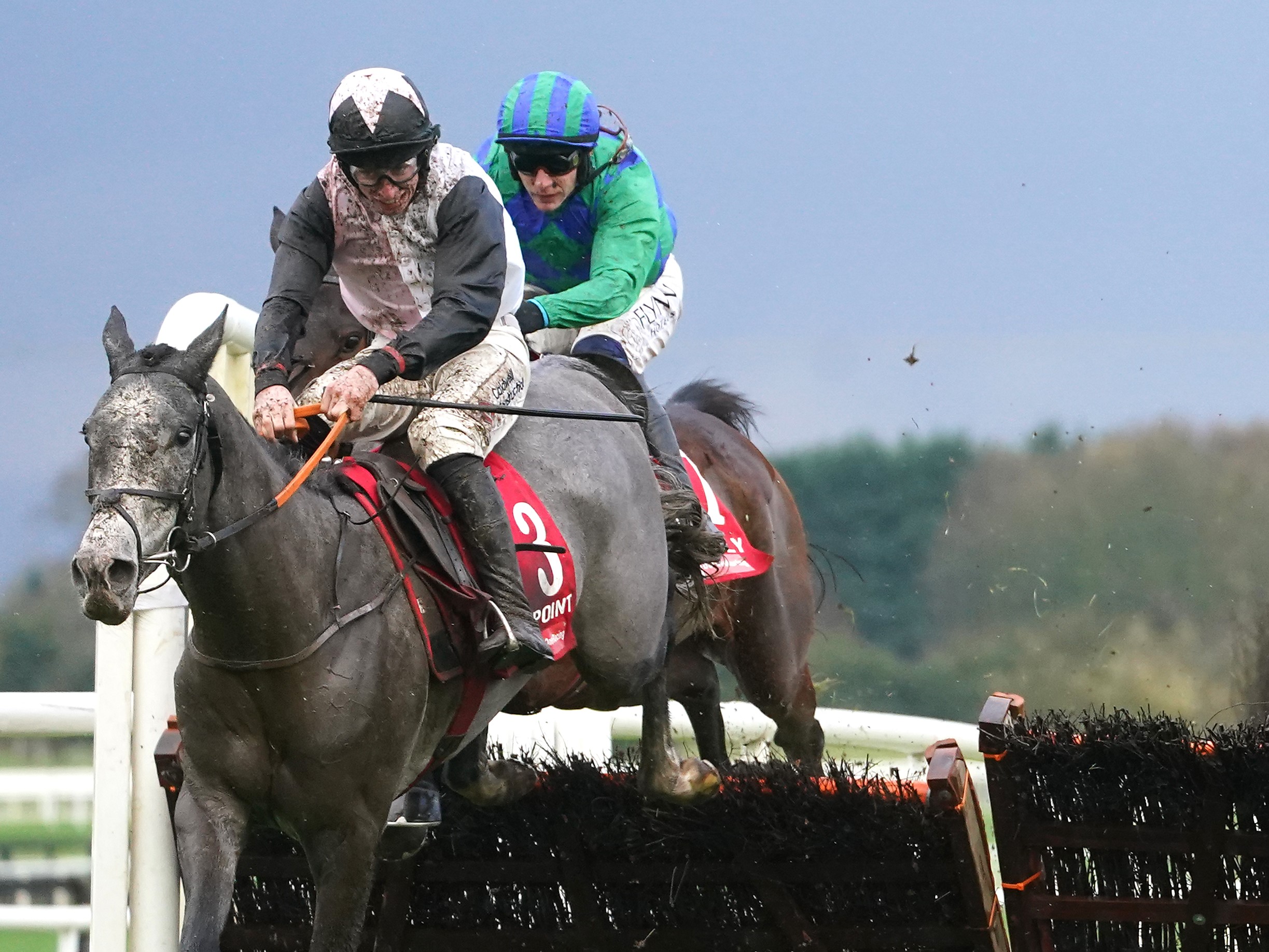 Irish Point in action in the Royal Bond Novice Hurdle at Fairyhouse