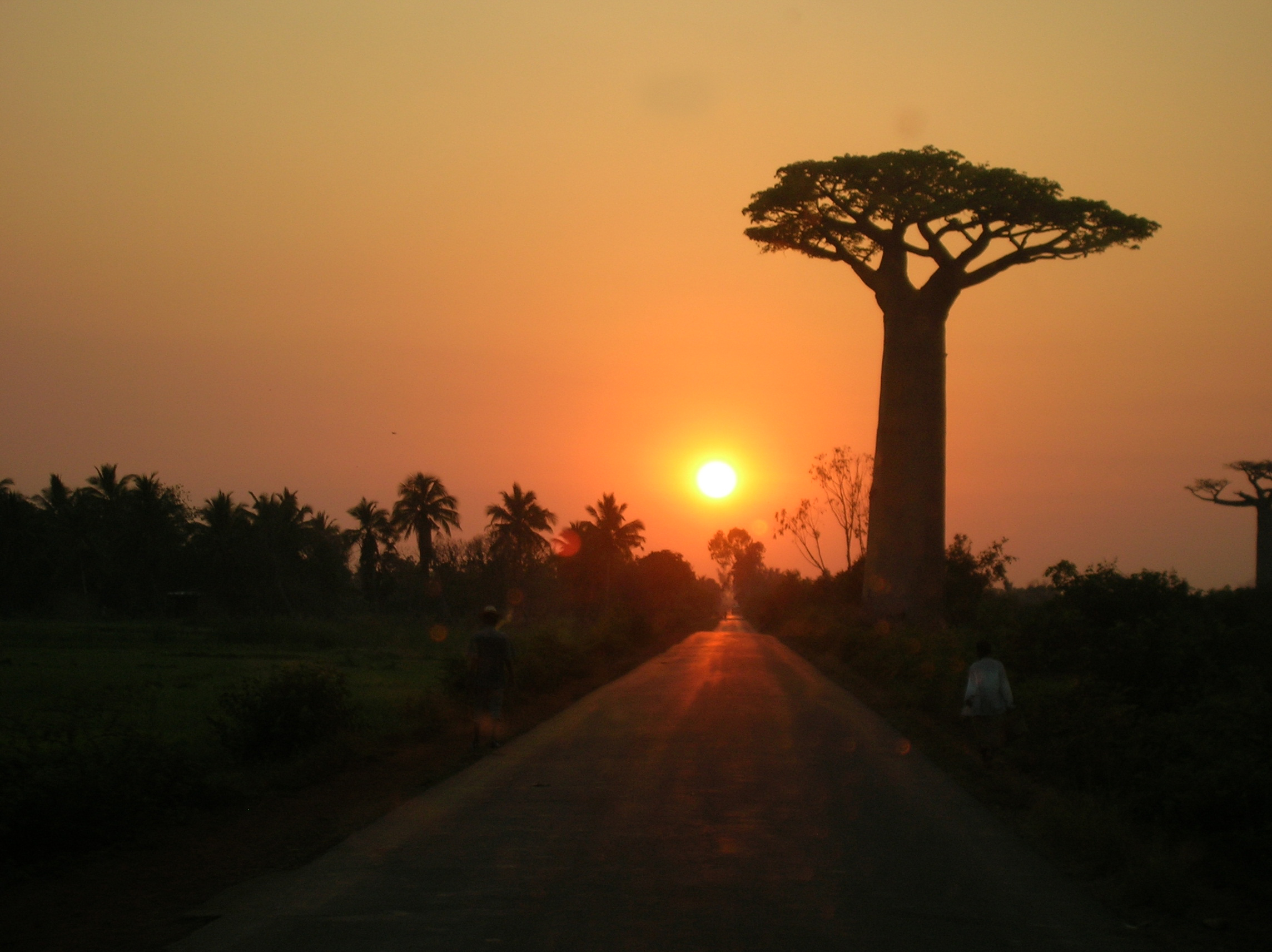 Sunrise in Madagascar