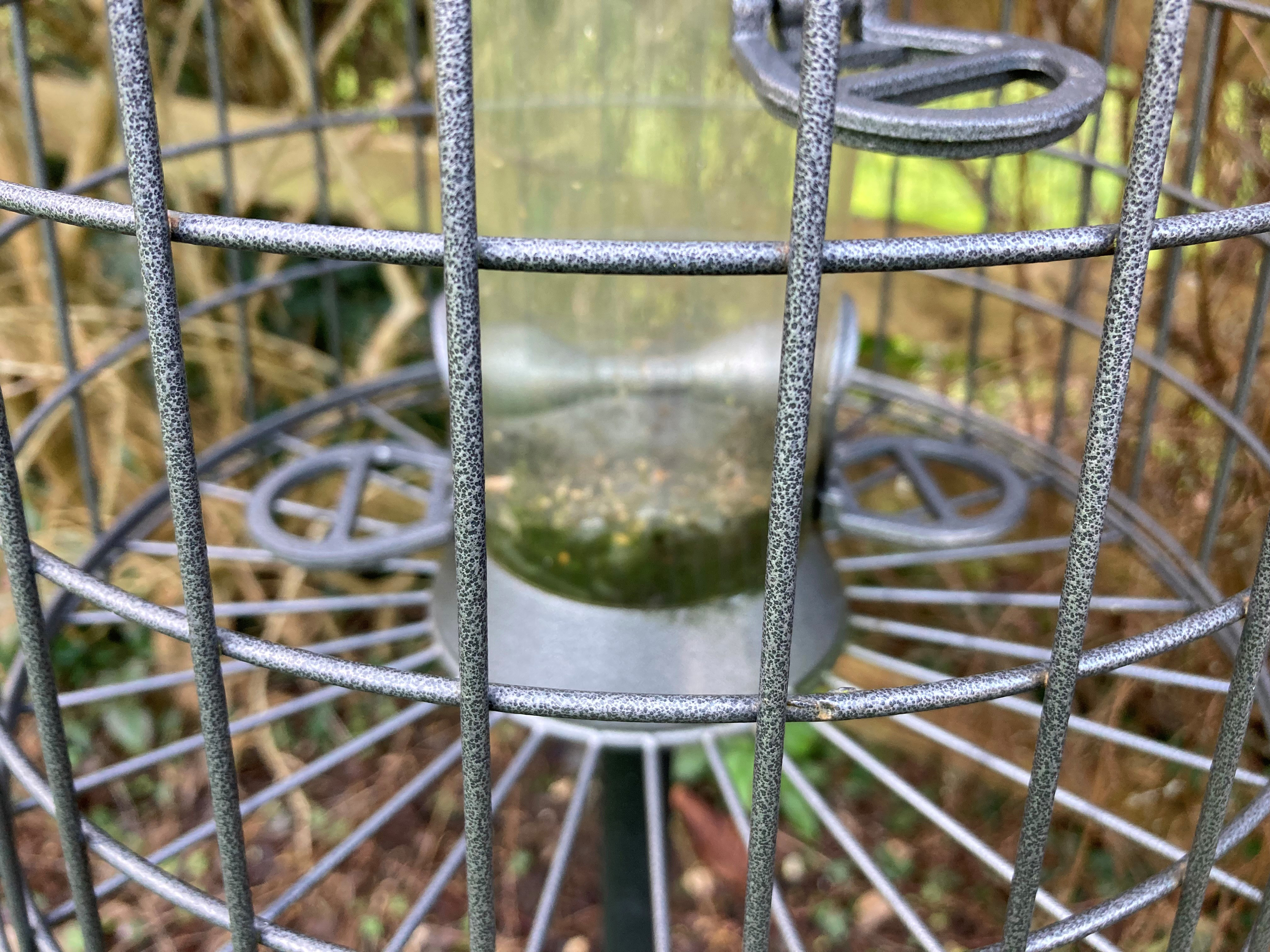 Residue at bottom of bird feeder (Hannah Stephenson/PA)