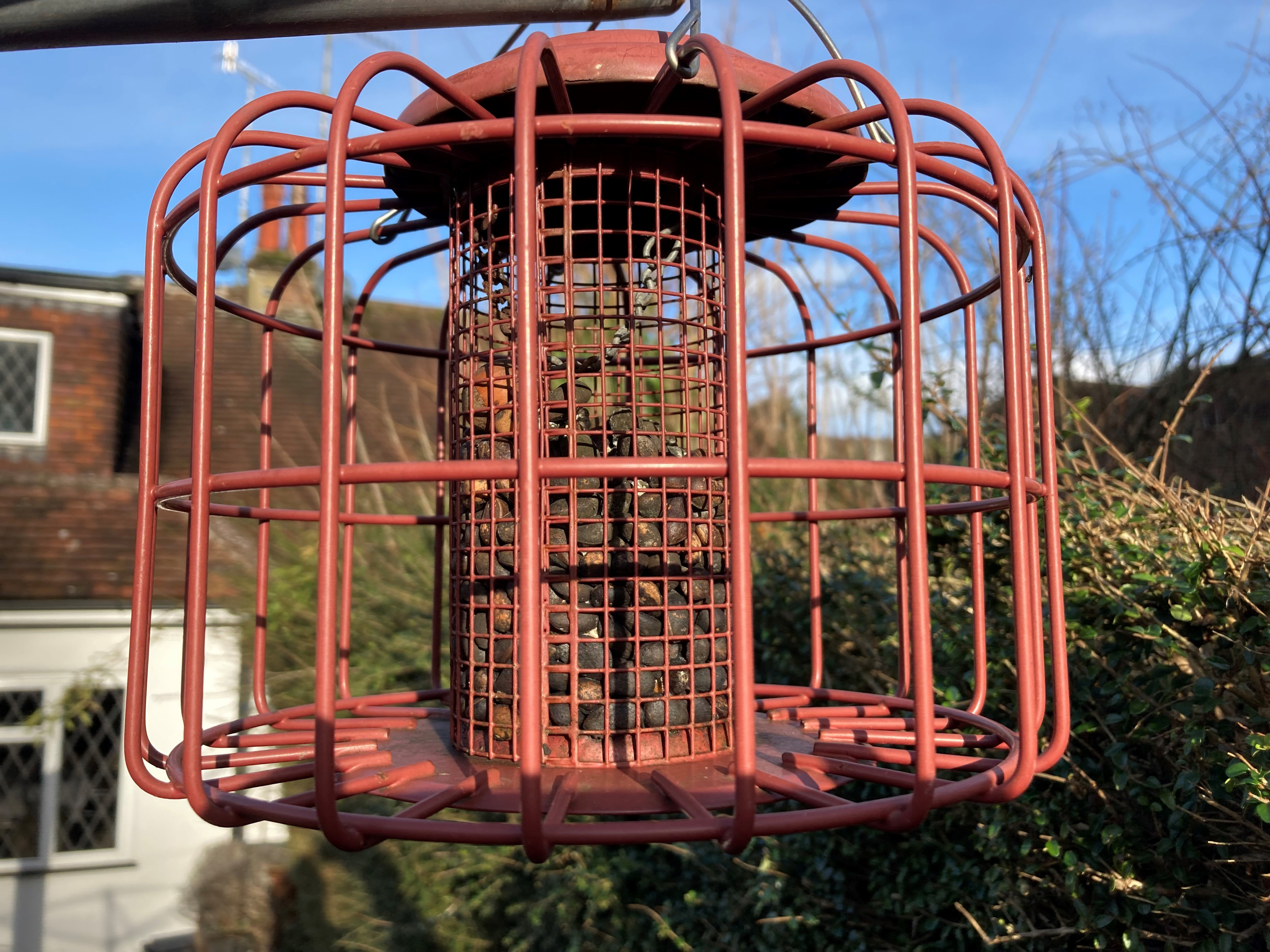 Peanuts in a bird feeder (Hannah Stephenson/PA)
