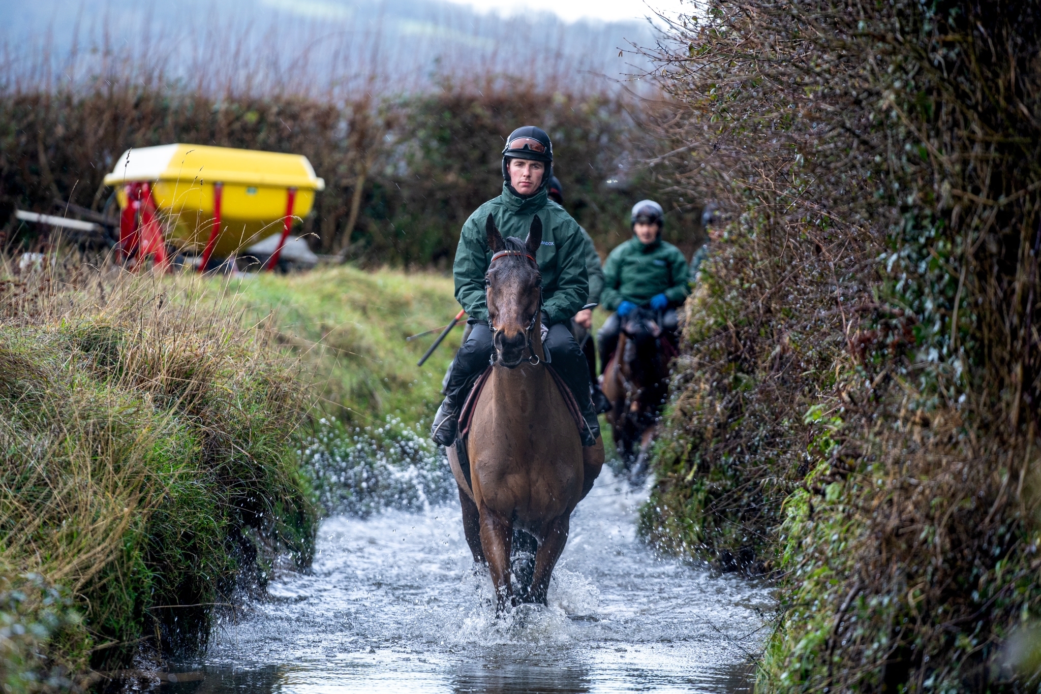 Noble Yeats at Emmet Mullins' yard