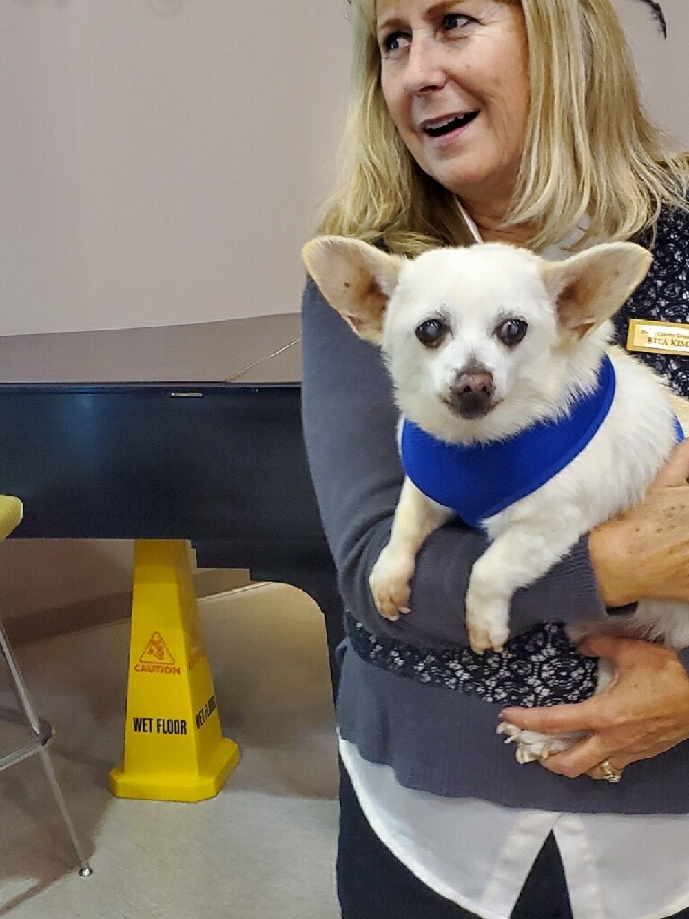 Woman carrying a dog