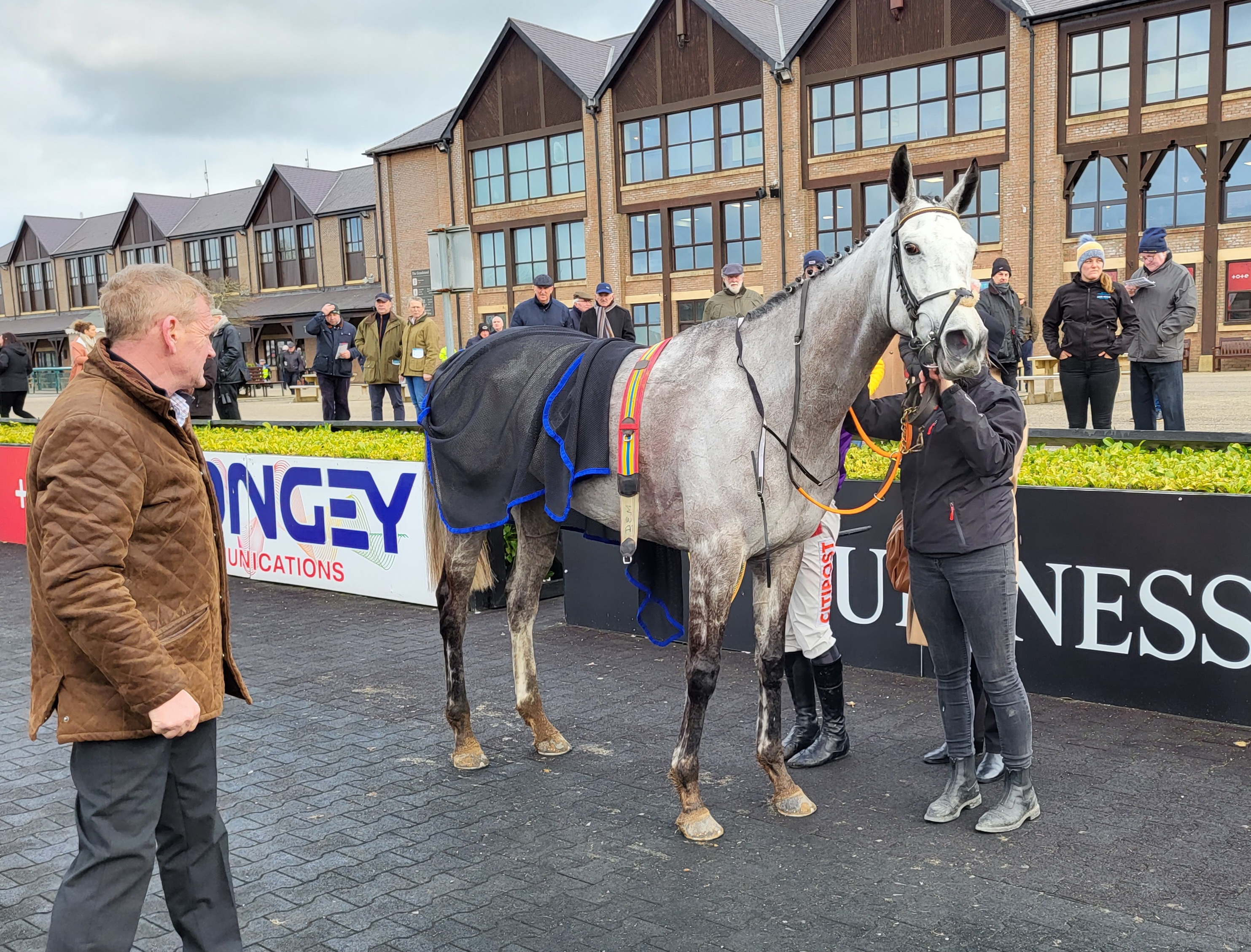 Tony Mullins with Princess Zoe at Punchestown