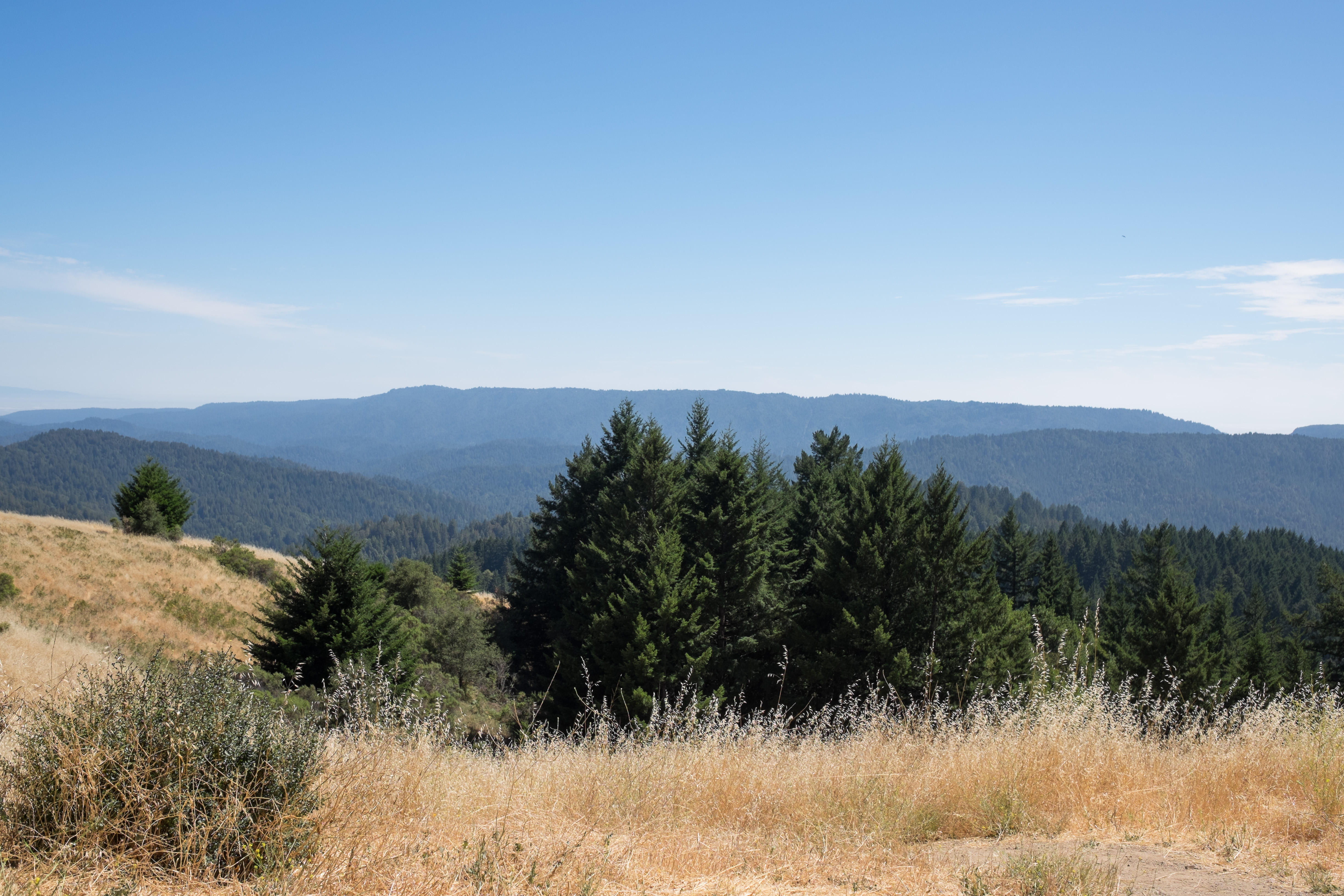 The northern California landscape of San Mateo County