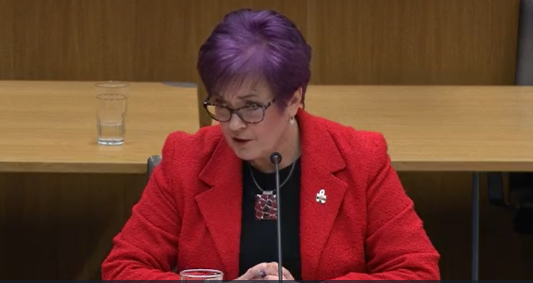 Sports minister Dawn Bowden admitted being aware of sexism allegations against the WRU before the BBC programme was aired. (Senedd.TV)