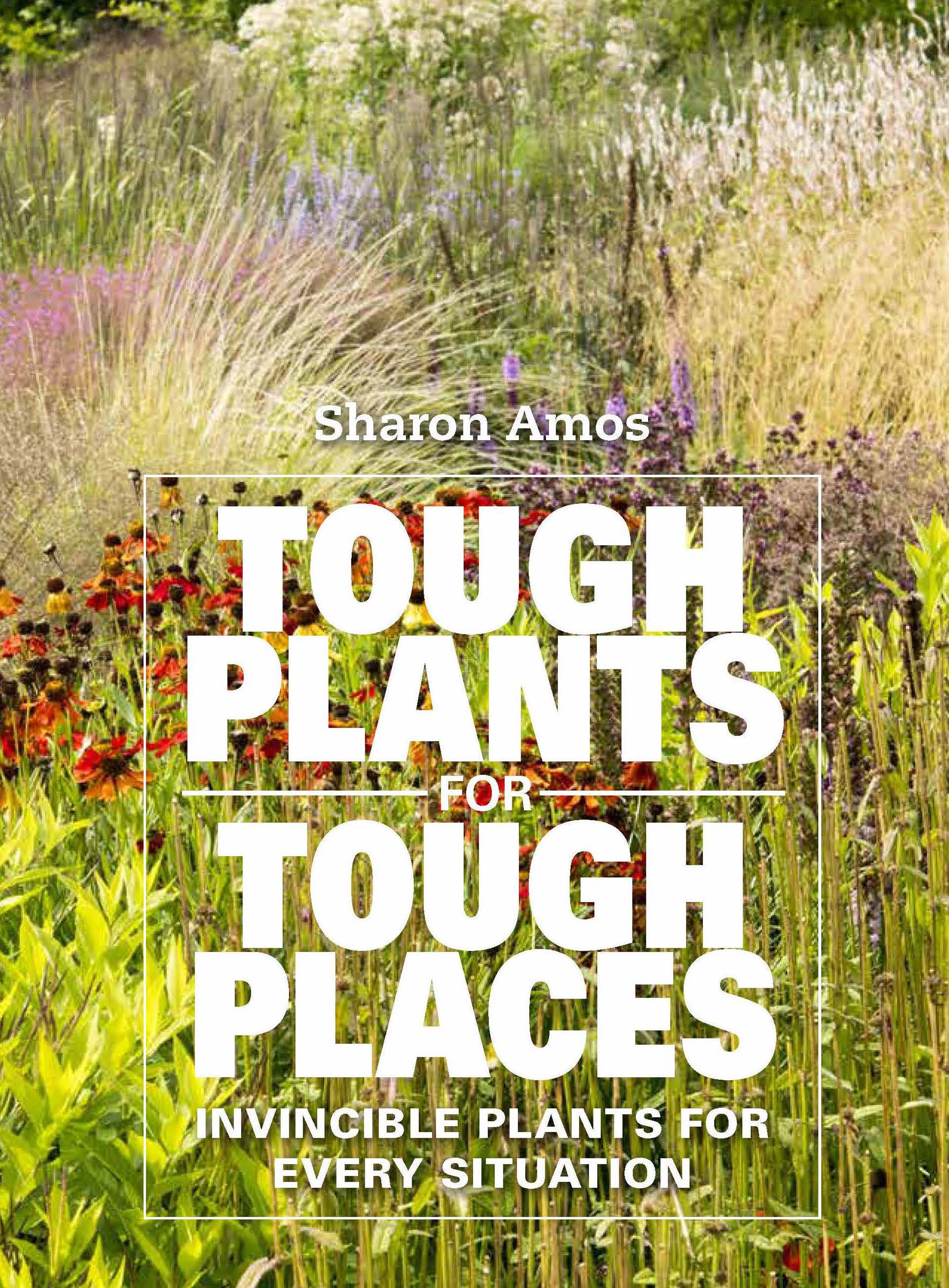 Book jacket of Tough Plants For Tough Places by Sharon Amos (Pimpernel Press/PA)
