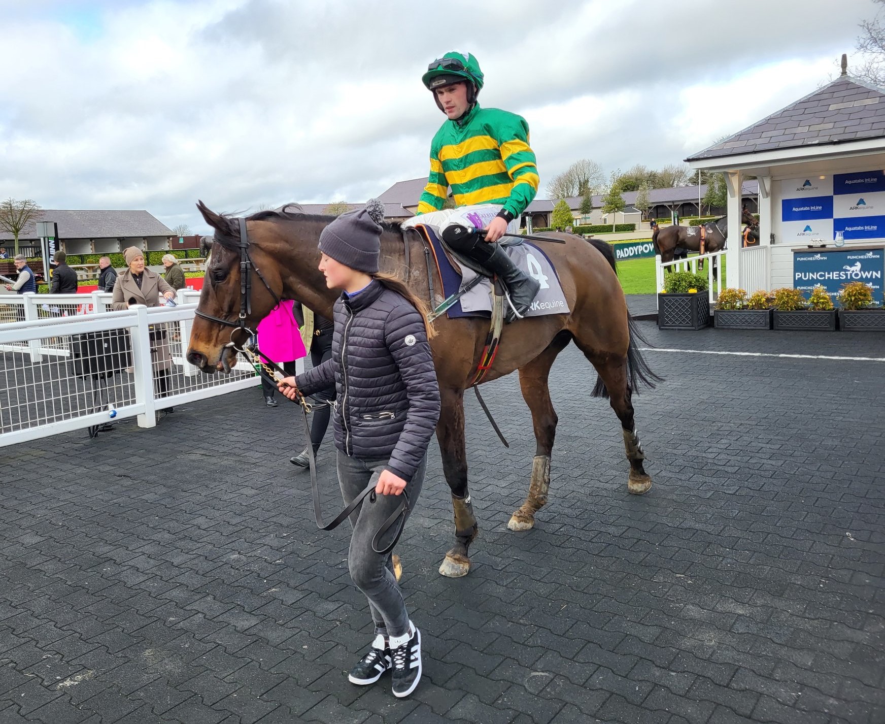 Stealthy Tom after winning at Punchestown