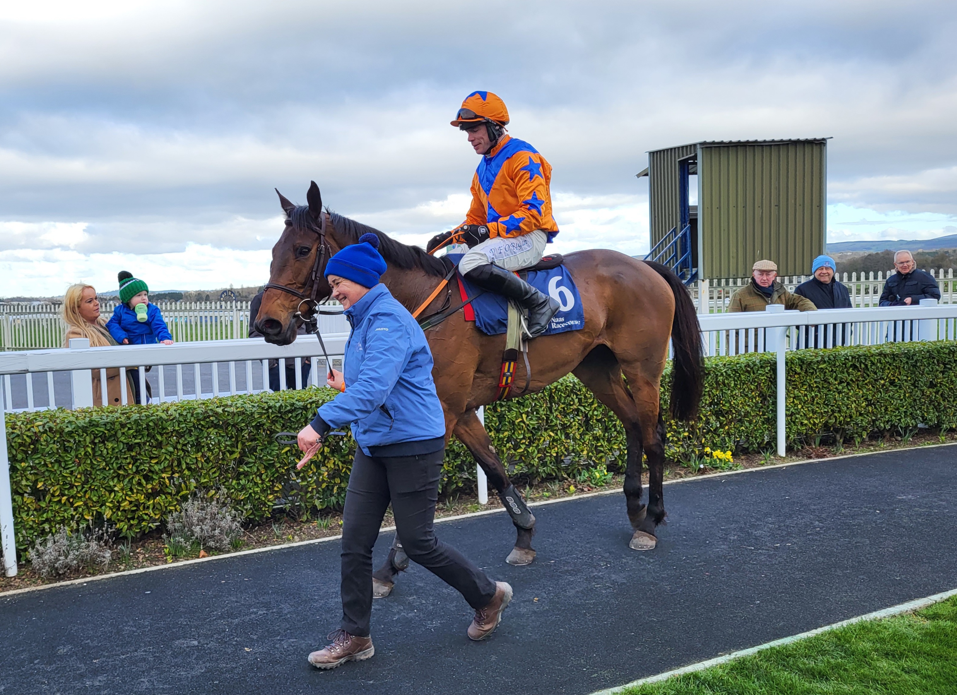 Rebel Gold at Naas