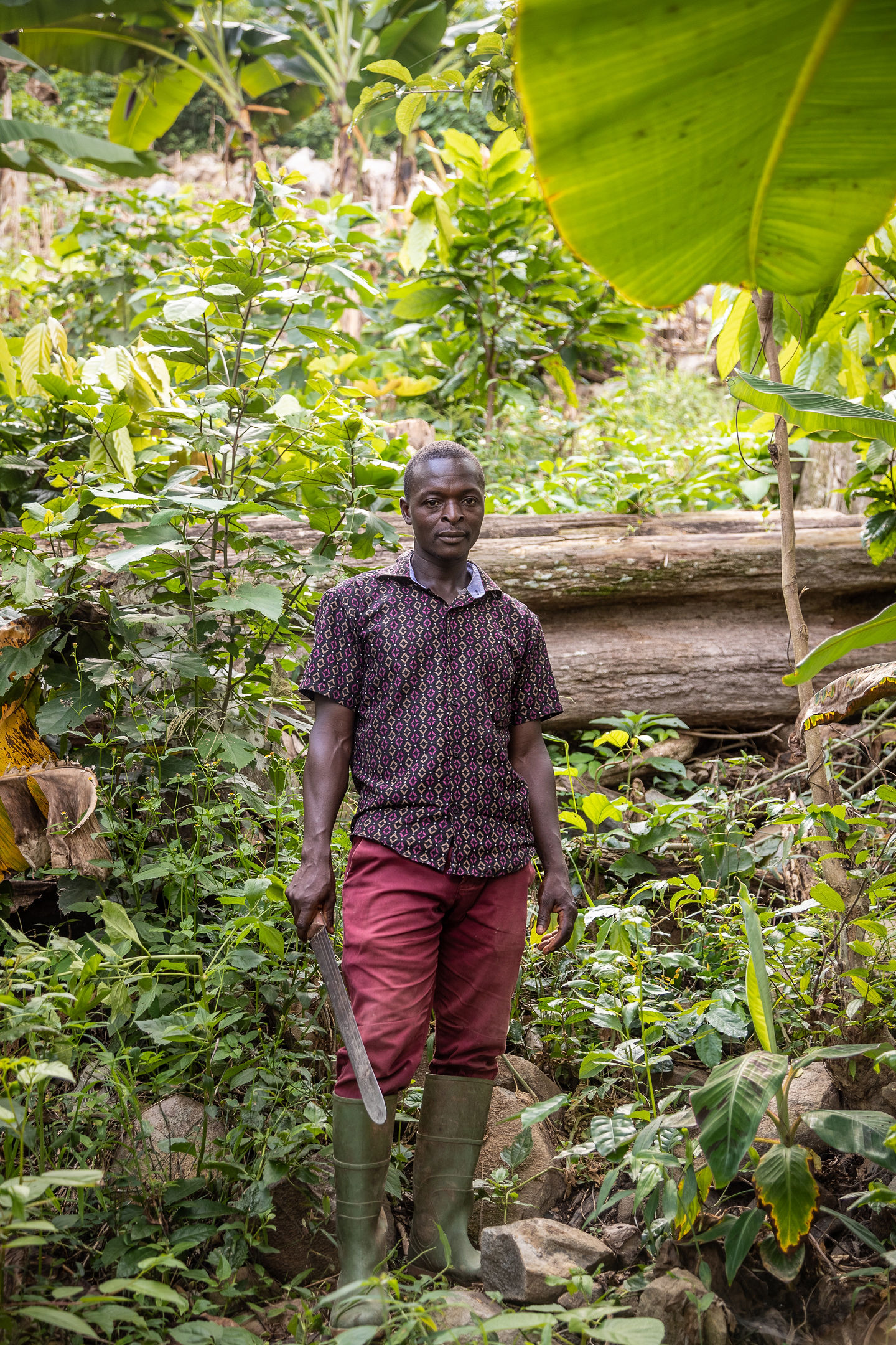 Fairtrade cocoa farmer in Ghana