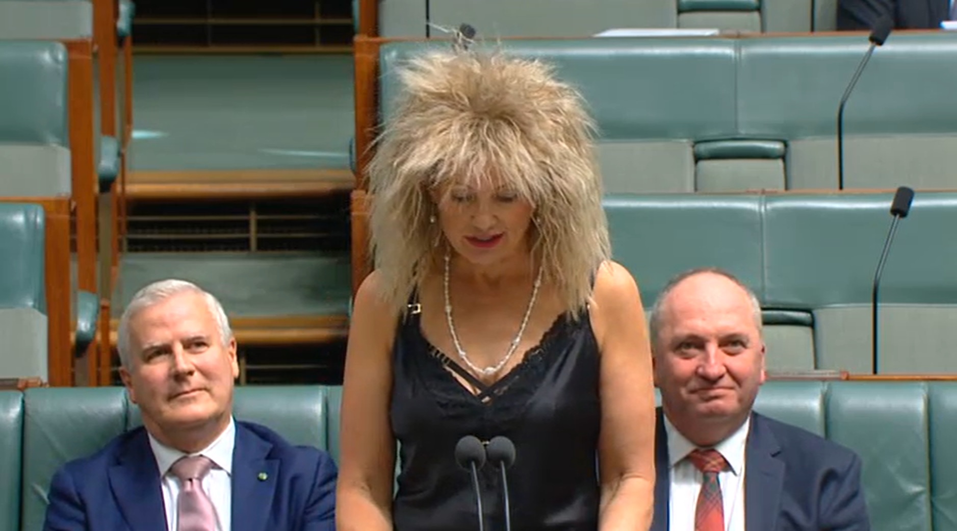 The deputy leader of Australia’s Liberal Party turned heads and raised money in parliament by attending dressed as musical icon Tina Turner