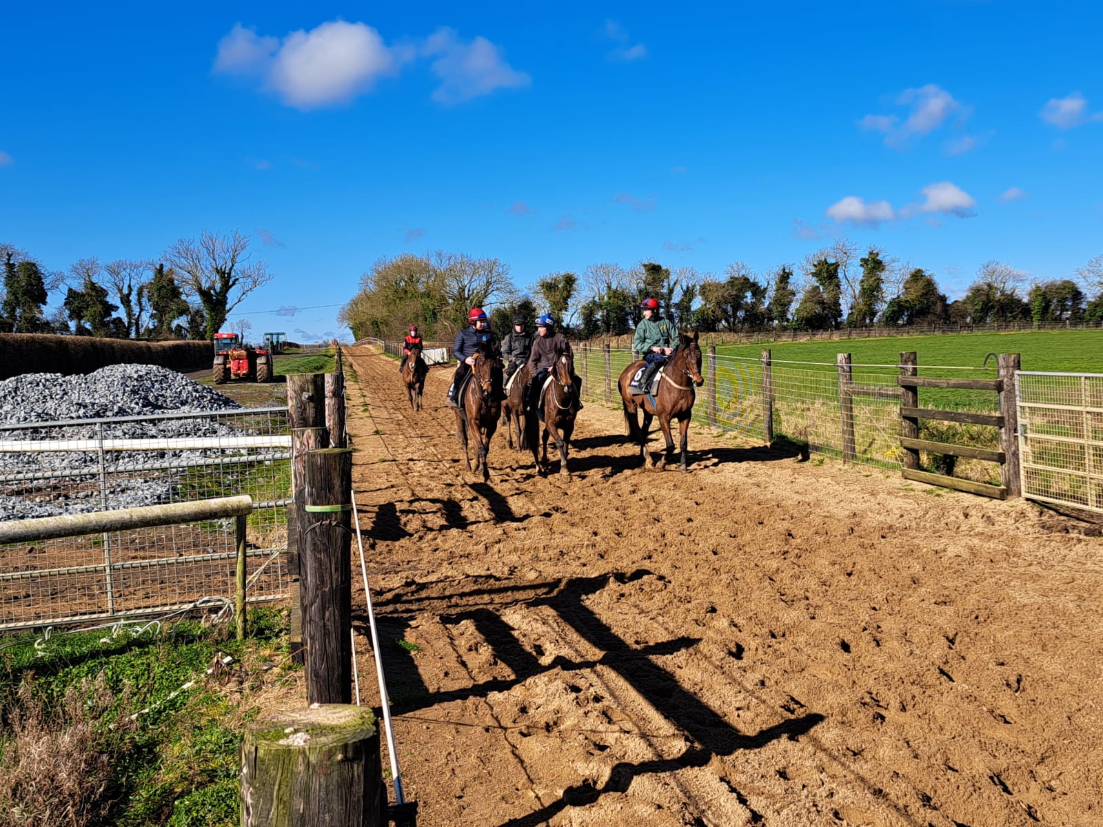 Dermot McLoughlin's string on the gallops 