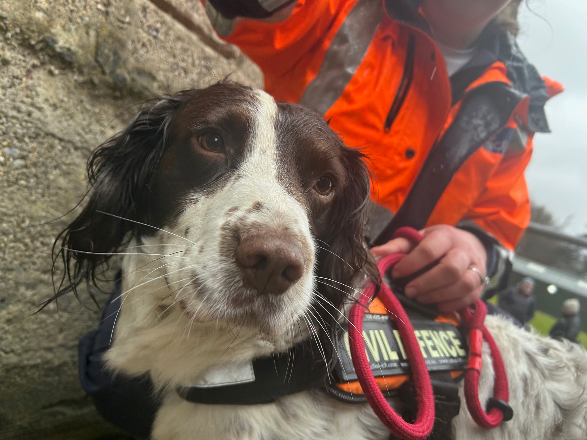 Rossi pictured with his Civil Defence harness