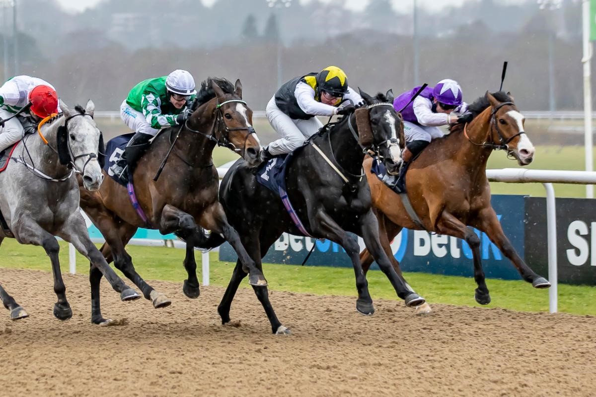 Earlofthecotswolds was a brave winner for Tom Queally