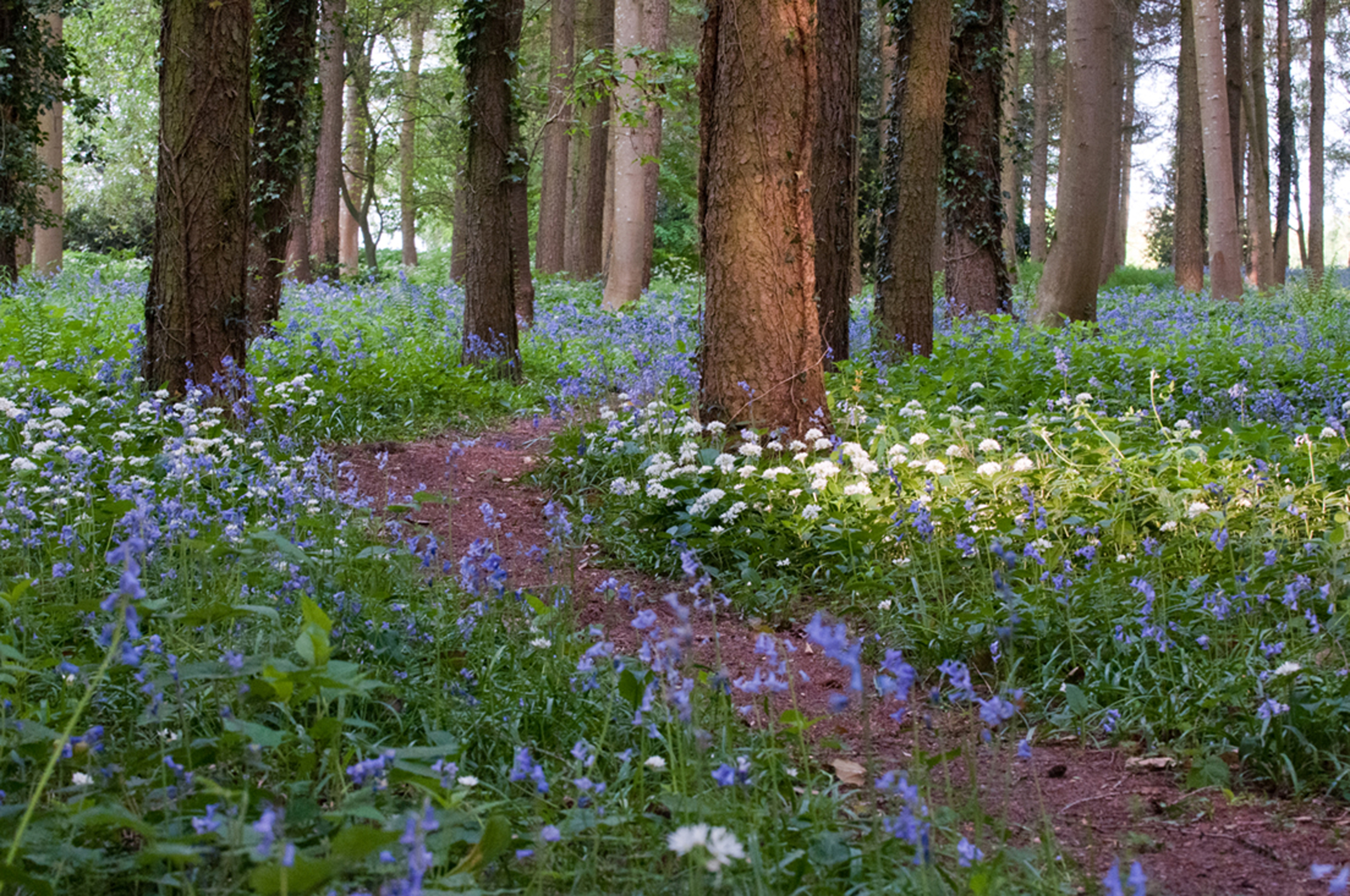 Home Farm, Gloucestershire (National Garden Scheme/PA)