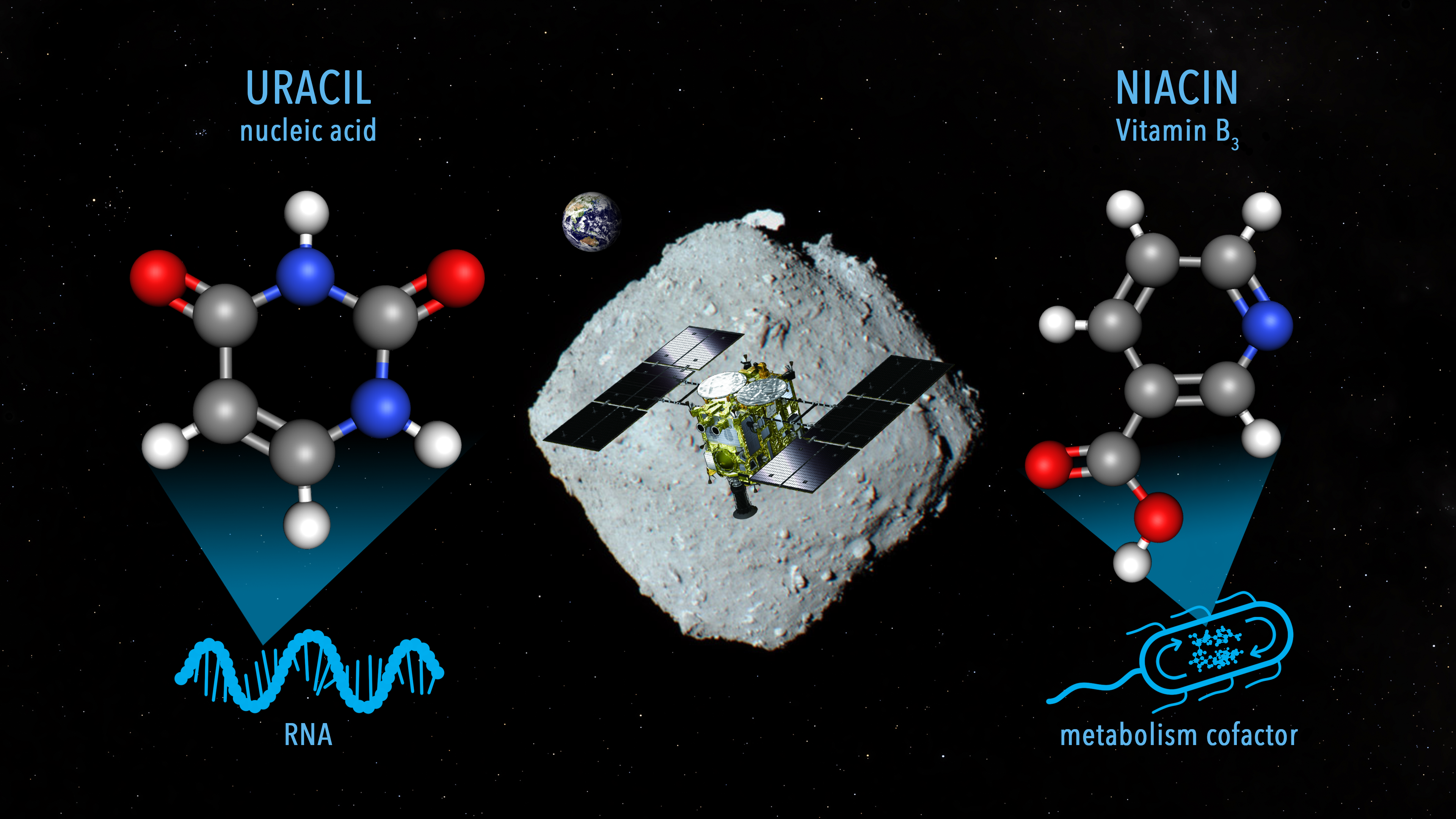Sampling materials containing uracil and vitamin B3 on the asteroid Ryugu by the Hayabusa2 spacecraft