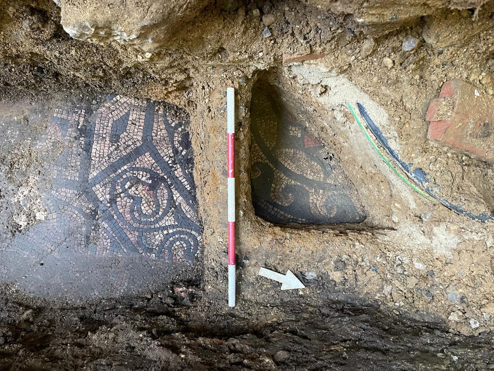 The mosaic is to be displayed under glass. (Martin Leatherdale/ PA)