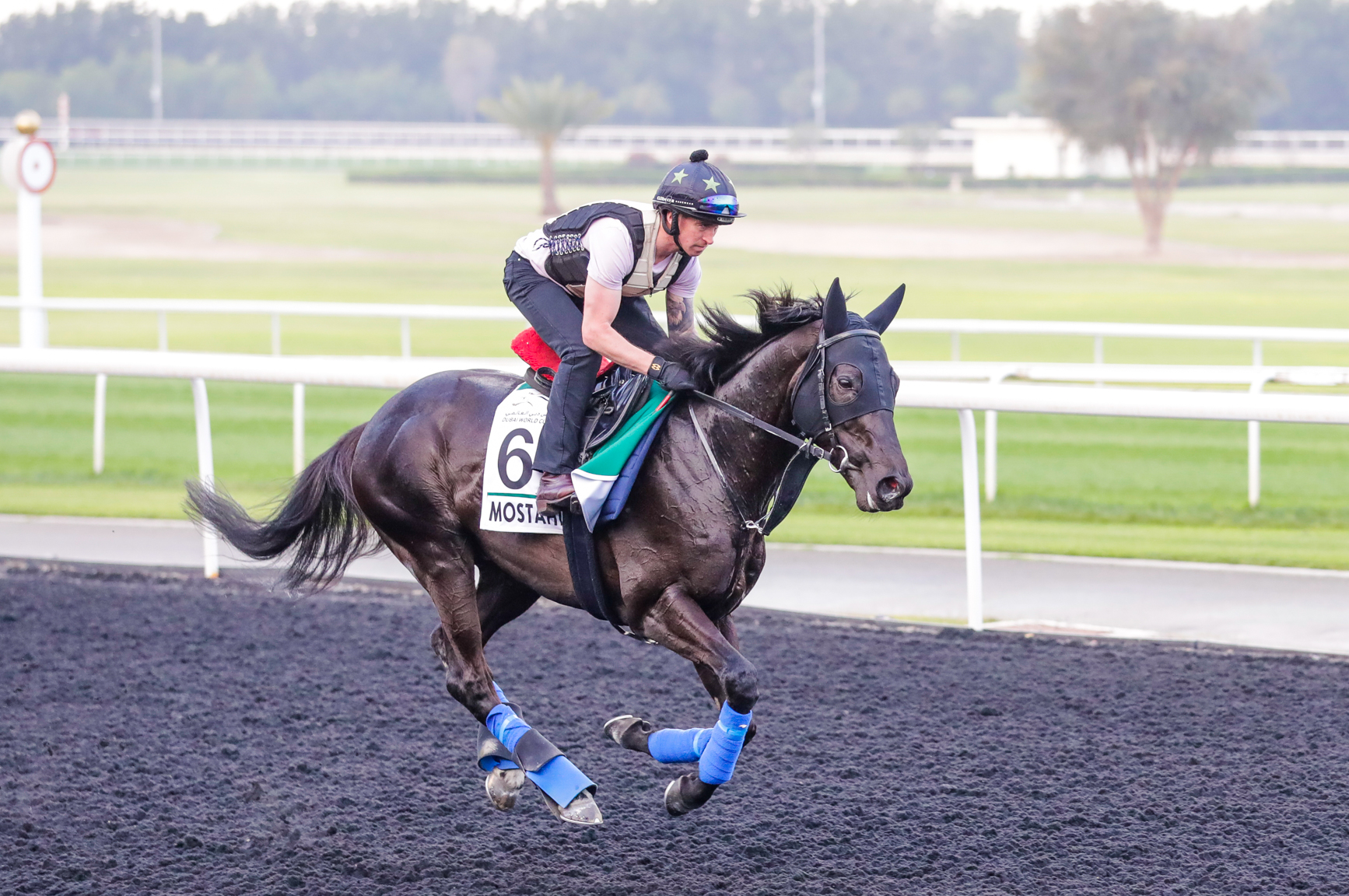 Mostahdaf on the Meydan training track 