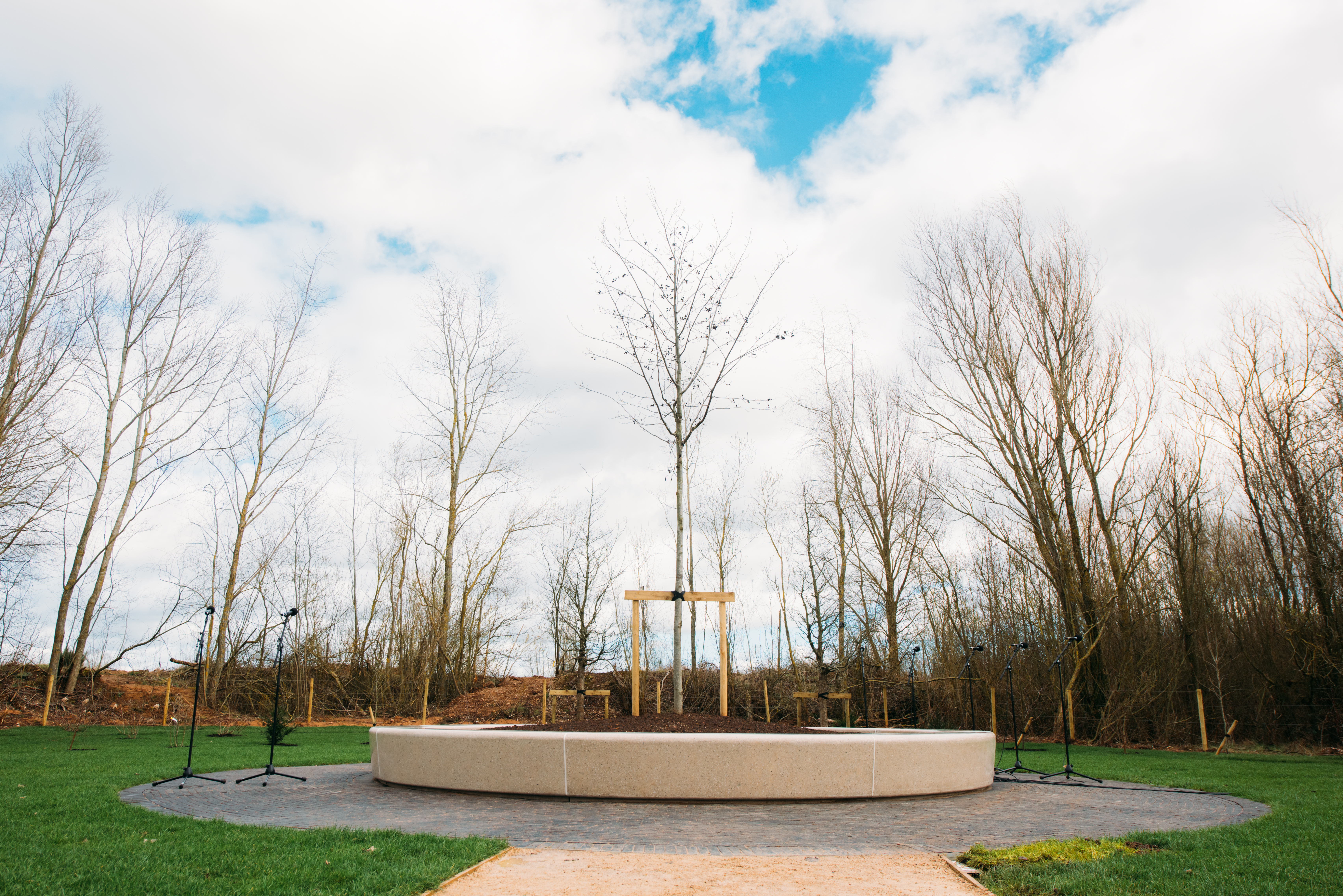 A Spaeth Alder tree is at the heart of the glade (National Memorial Arboretum/PA)