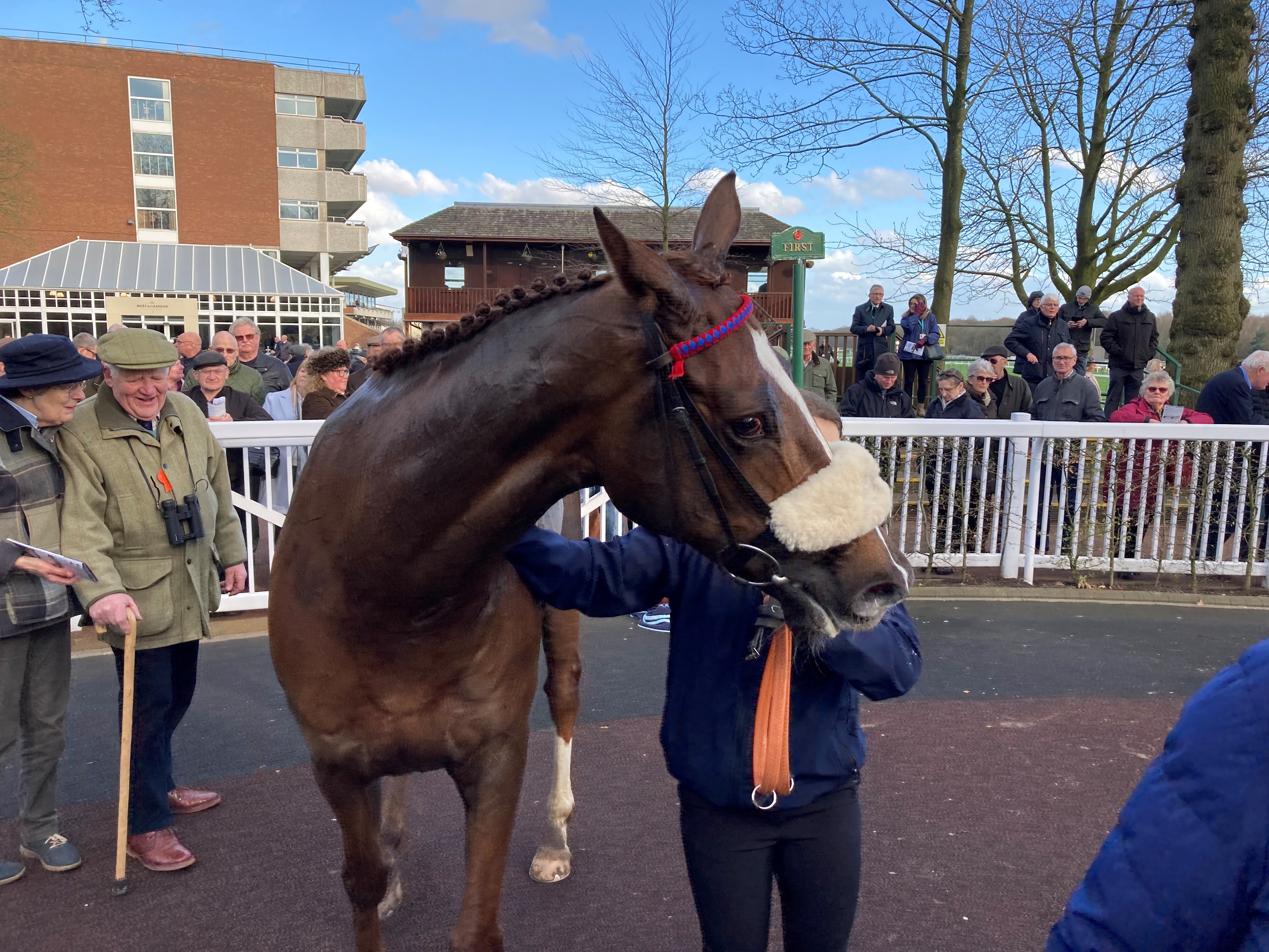 Equus Dreamer won the three-and-a-half-mile handicap chase