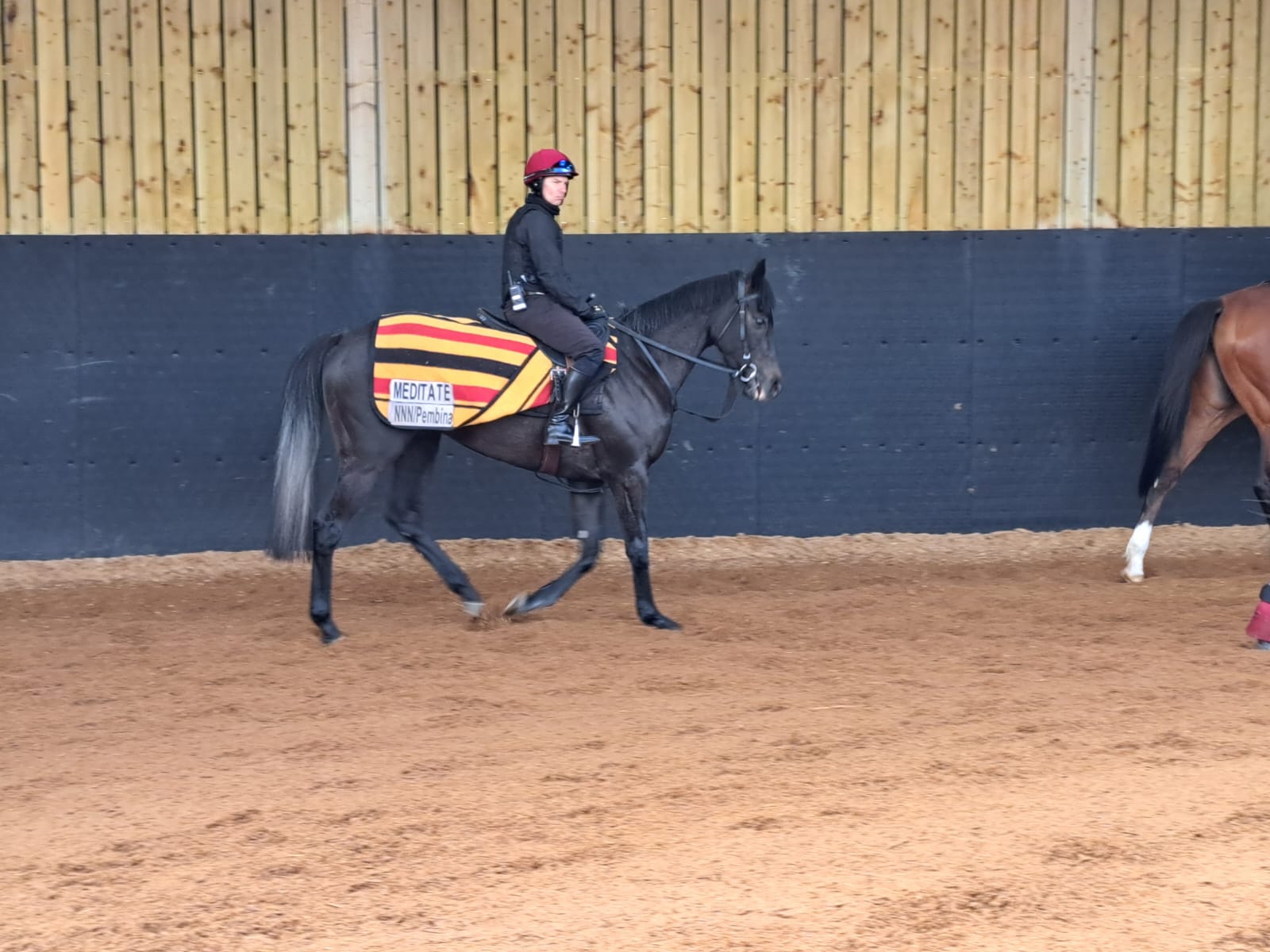 Meditate at Ballydoyle on Monday