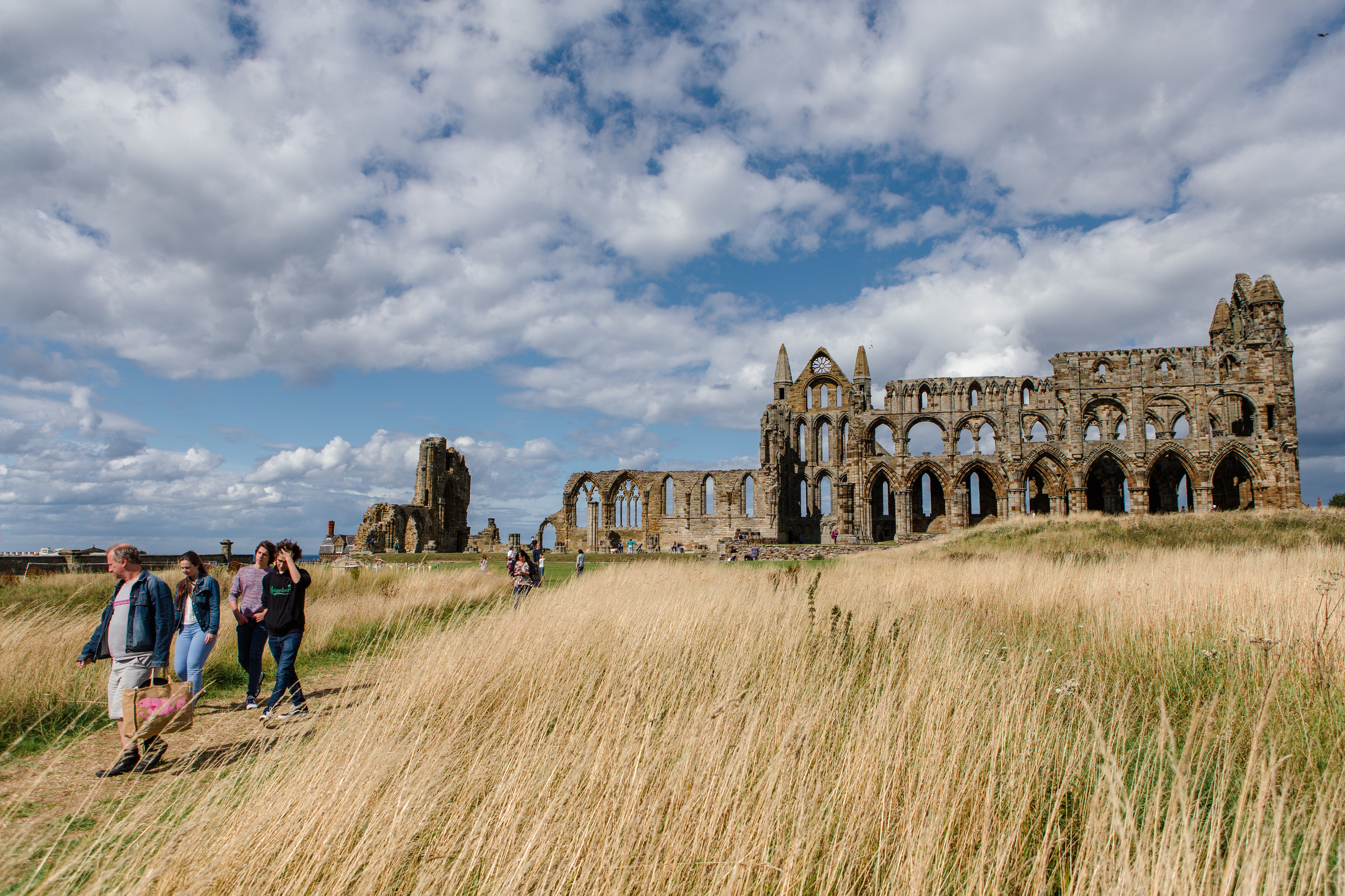 A new meadow will also be created at Whitby Abbey