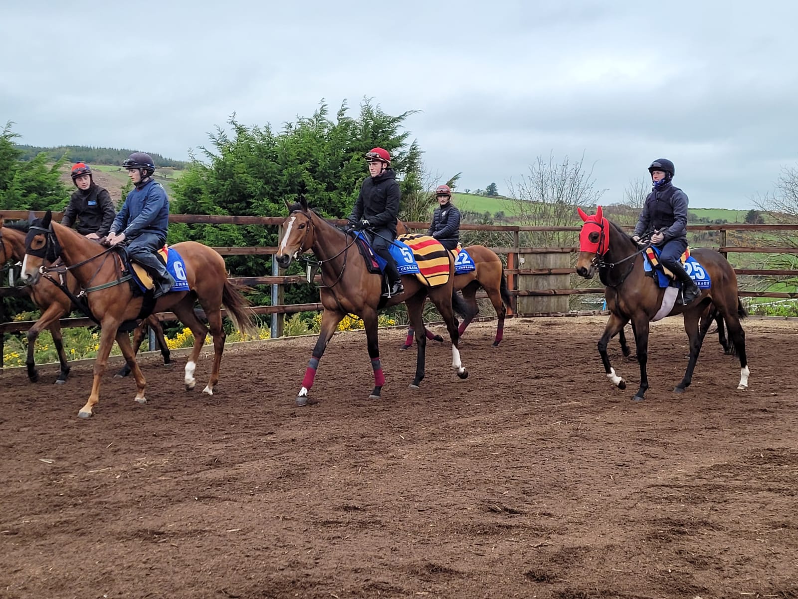 Above The Curve (centre) at Joseph O'Brien's yard 