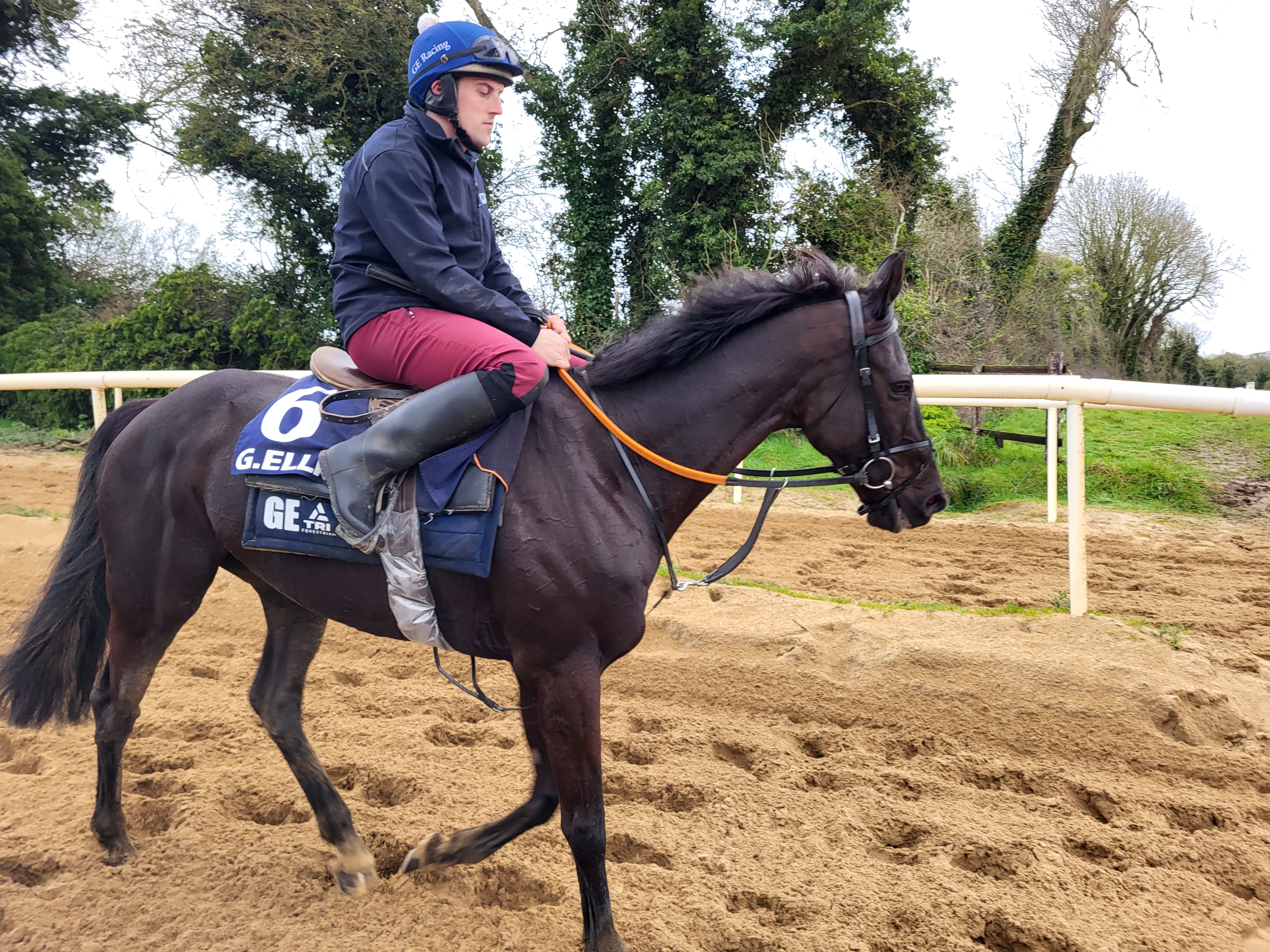 Delta Work at Gordon Elliott's yard on Wednesday morning 