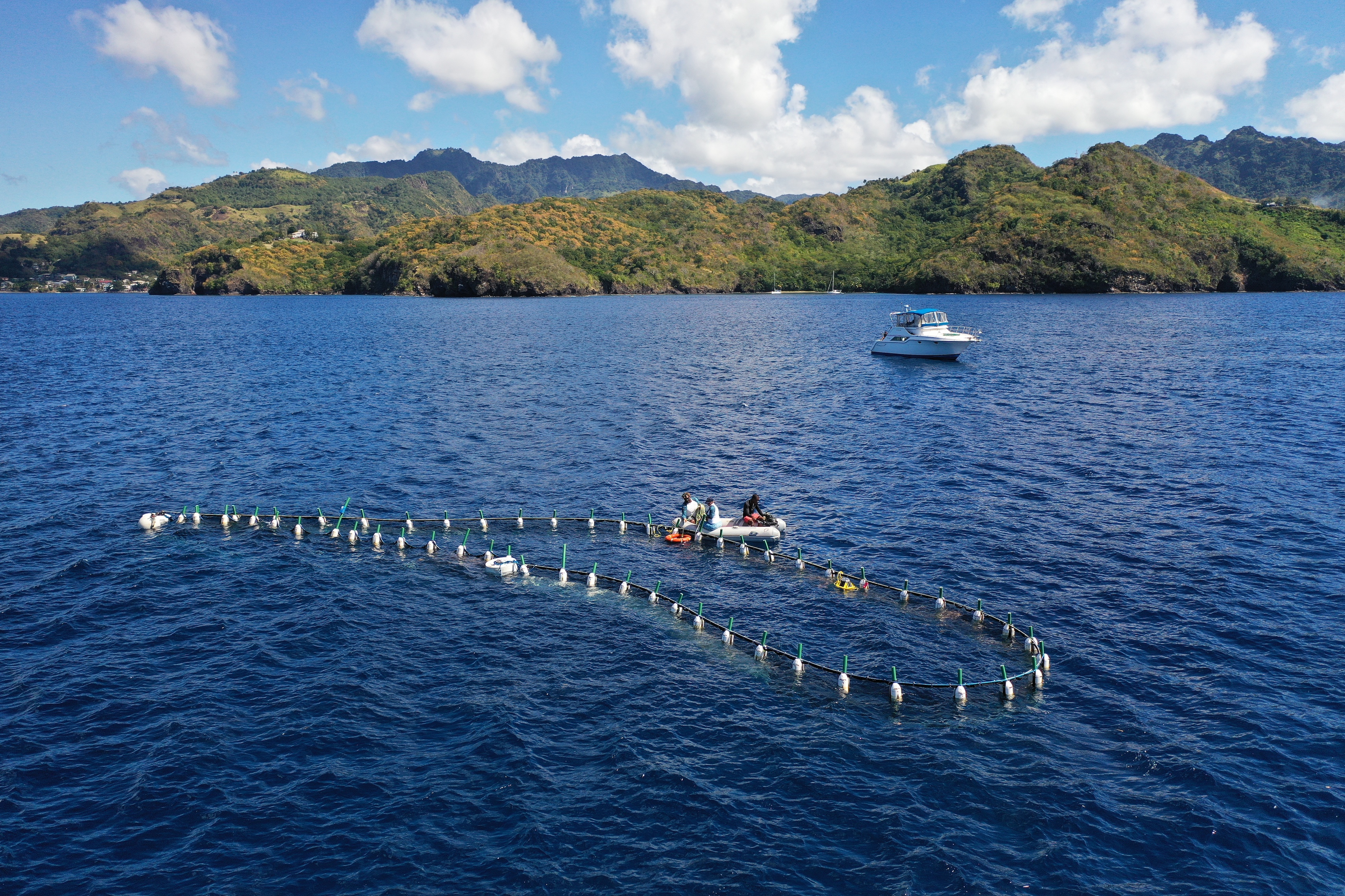 Sargassum barrier