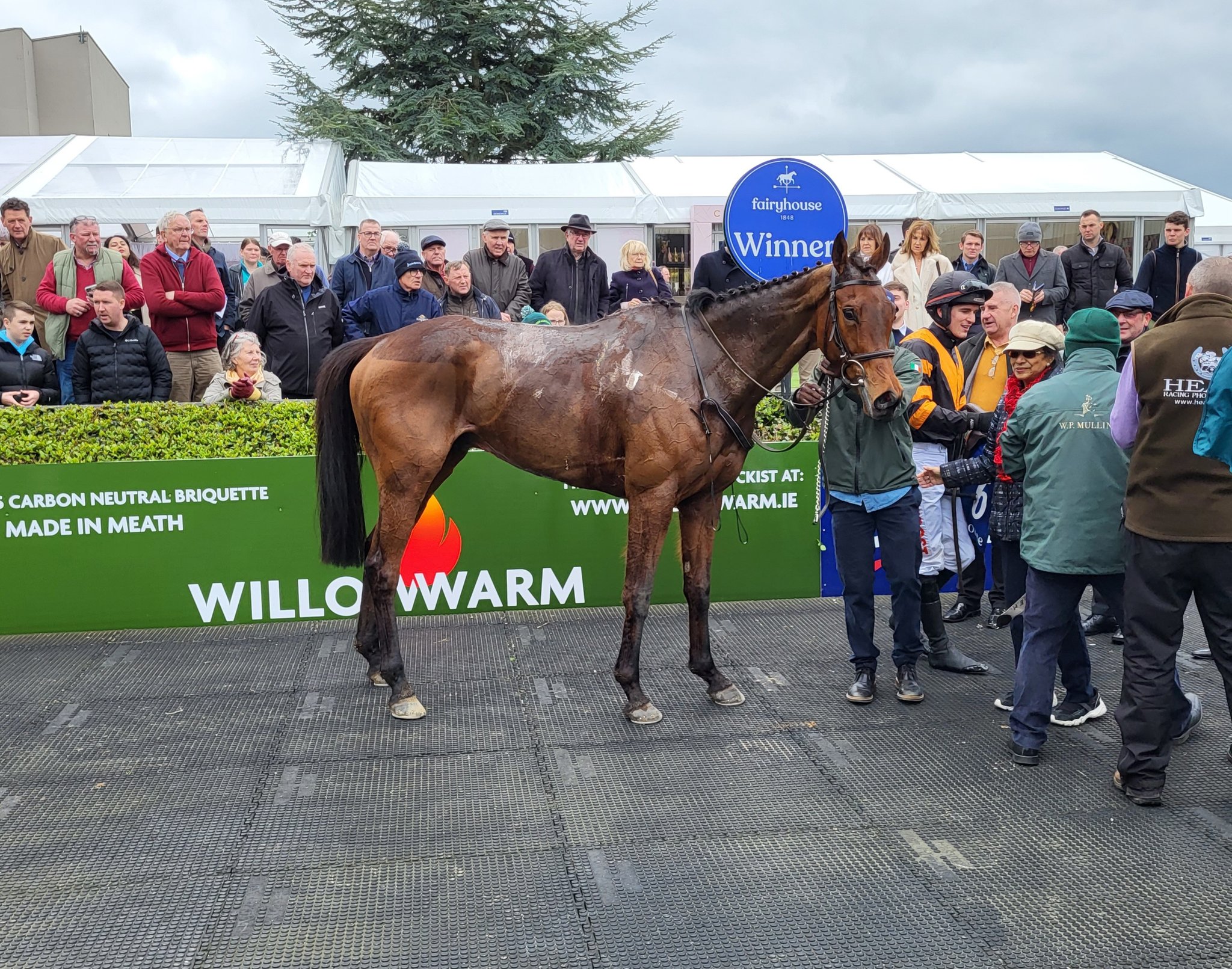 Nick Rockett after winning at Fairyhouse 