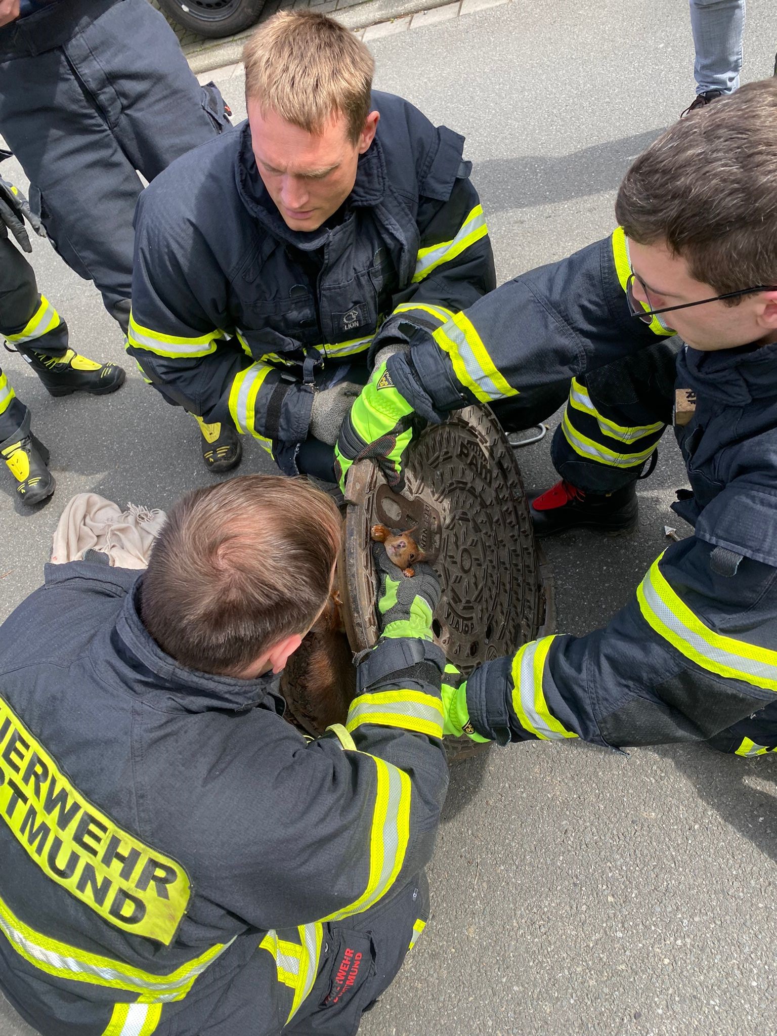 The trapped squirrel was described as being 'uncooperative' 