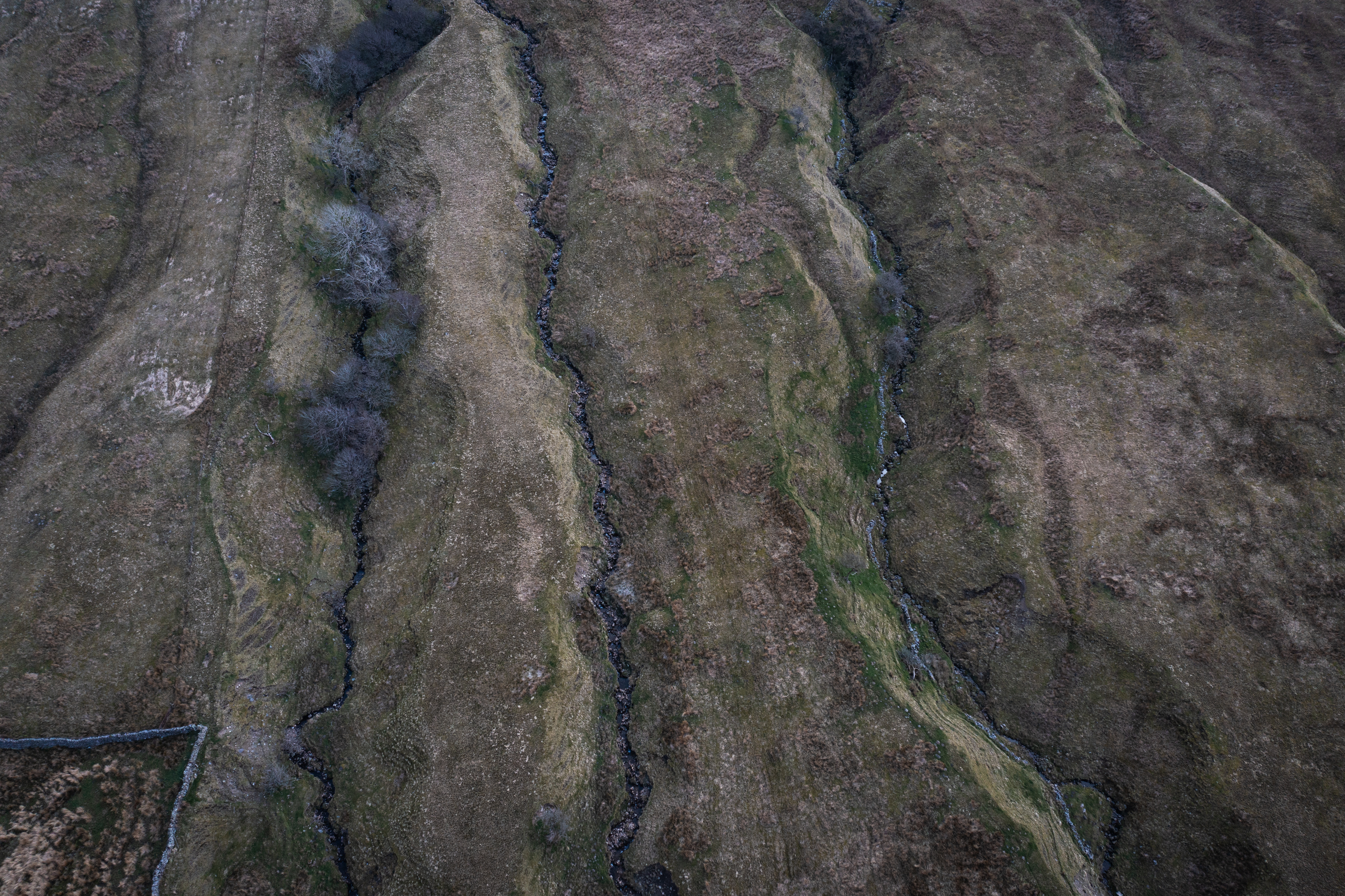 Water channels at Snaizeholme