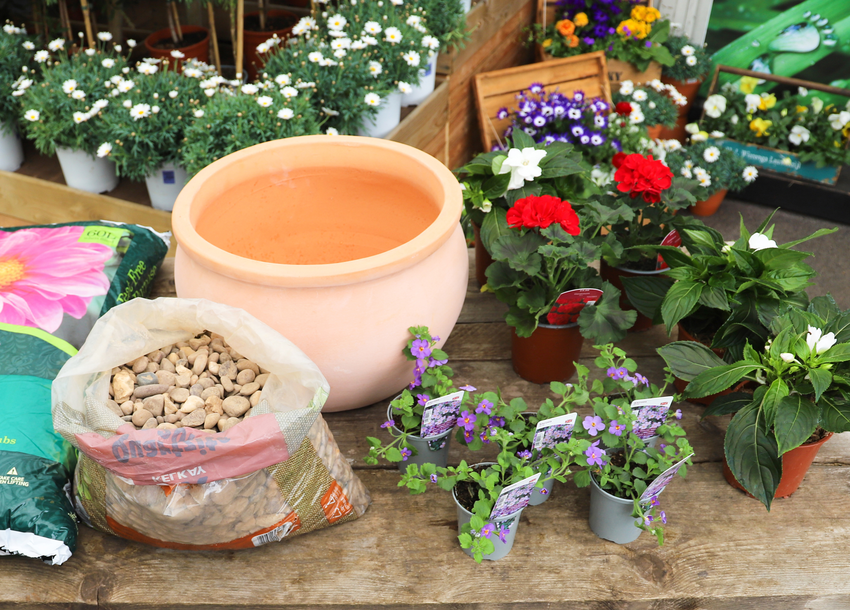 Materials for making up a coronation planter (Squire's Garden Centres/PA)