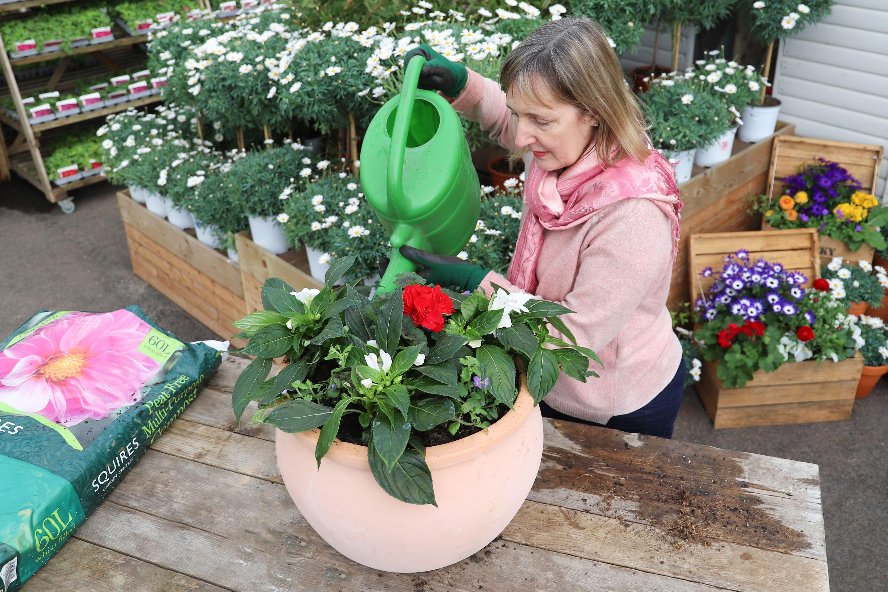 Keep the planter well-watered (Squire's Garden Centres/PA)