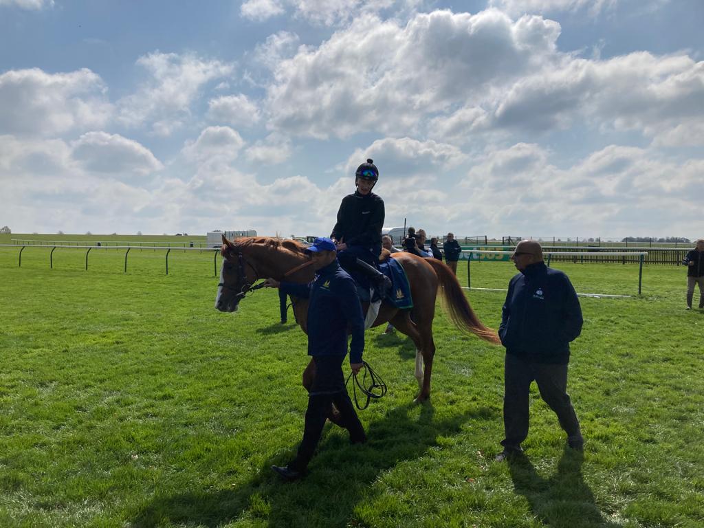 Dubai Mile returns from his gallop