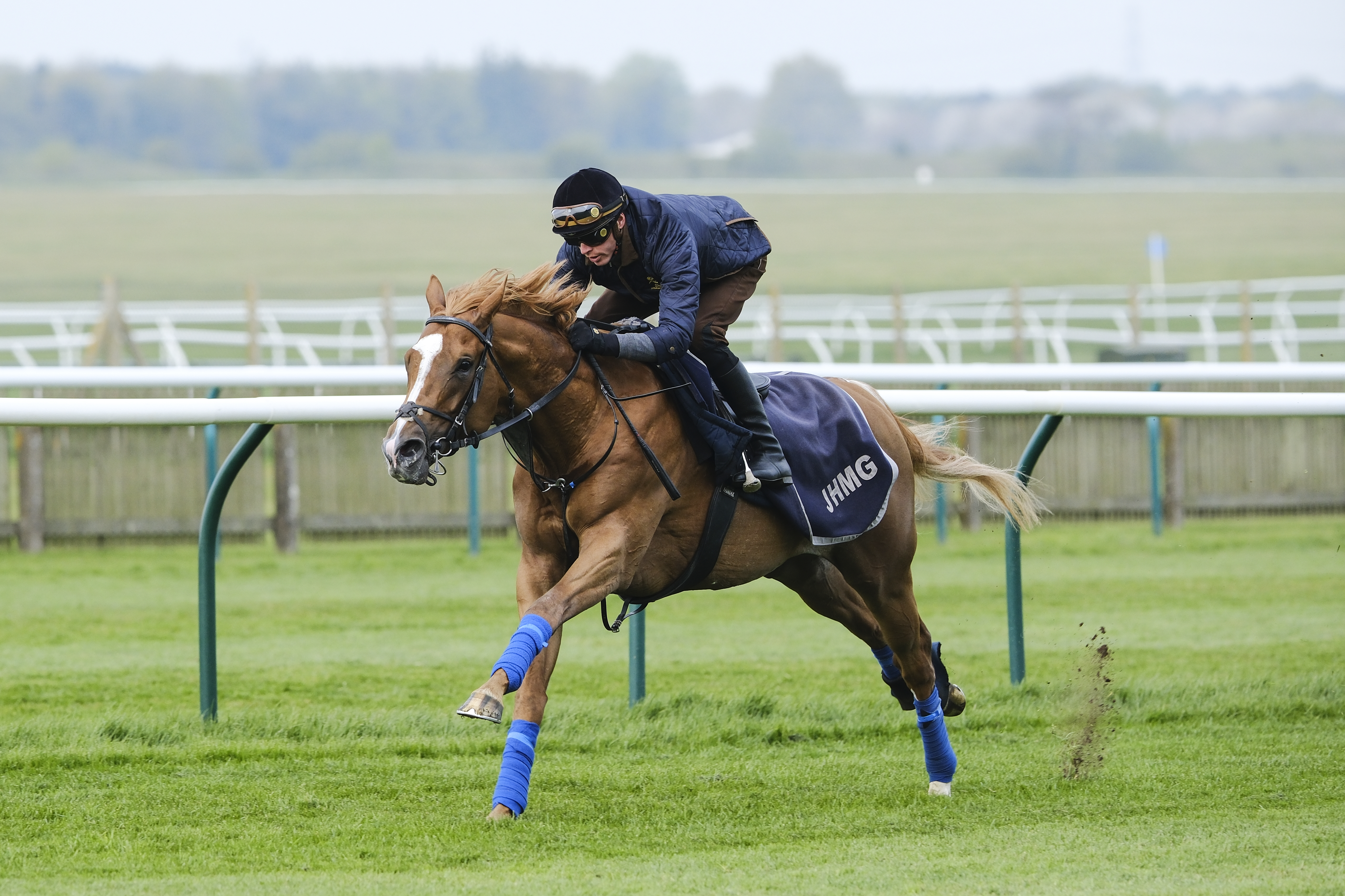 Slipofthepen galloping at Newmarket